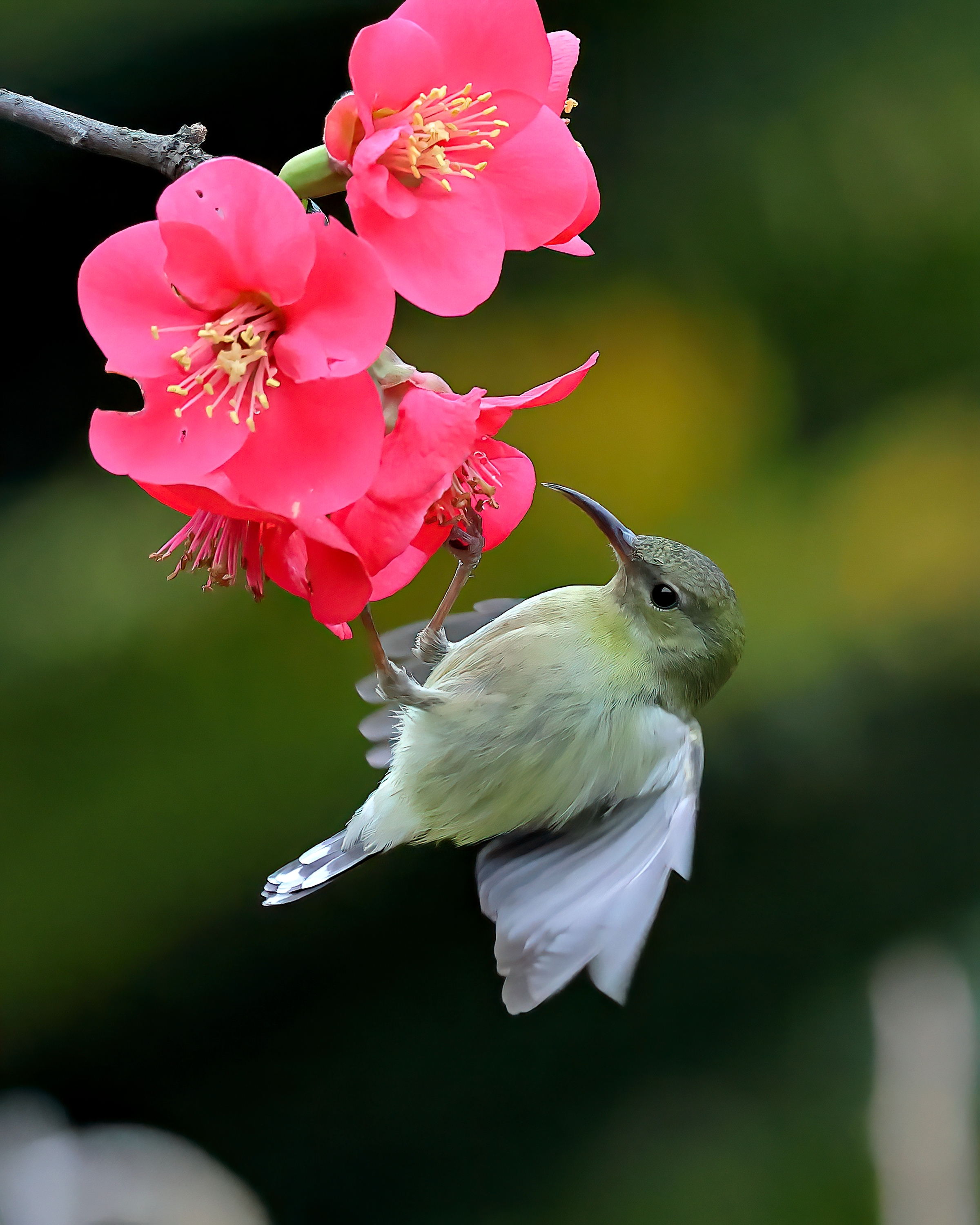 5D2A7725-DeNoiseAI-clear.jpg