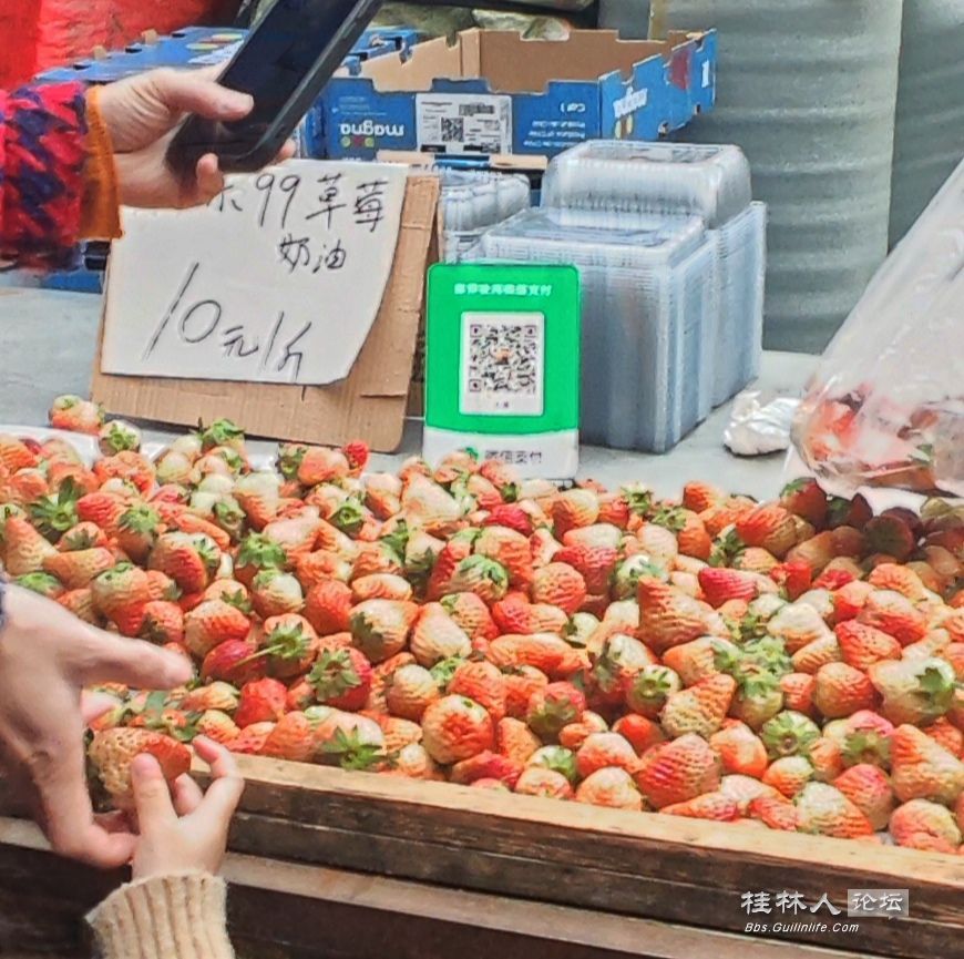 20250212150408front2_0_2066371_Fk62pP10_8WAE8lQMtsaZq5RRSMC.jpg