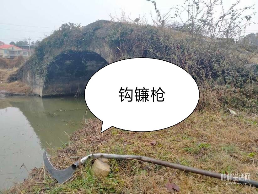 20250217105246front2_0_2066371_FoTH7izpBwLT5UhDe4lMM6HkuoZk.jpg