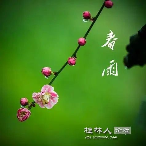 u=3140783818,920389729&fm=253&fmt=auto&app=138&f=JPEG_ͼ.jpg