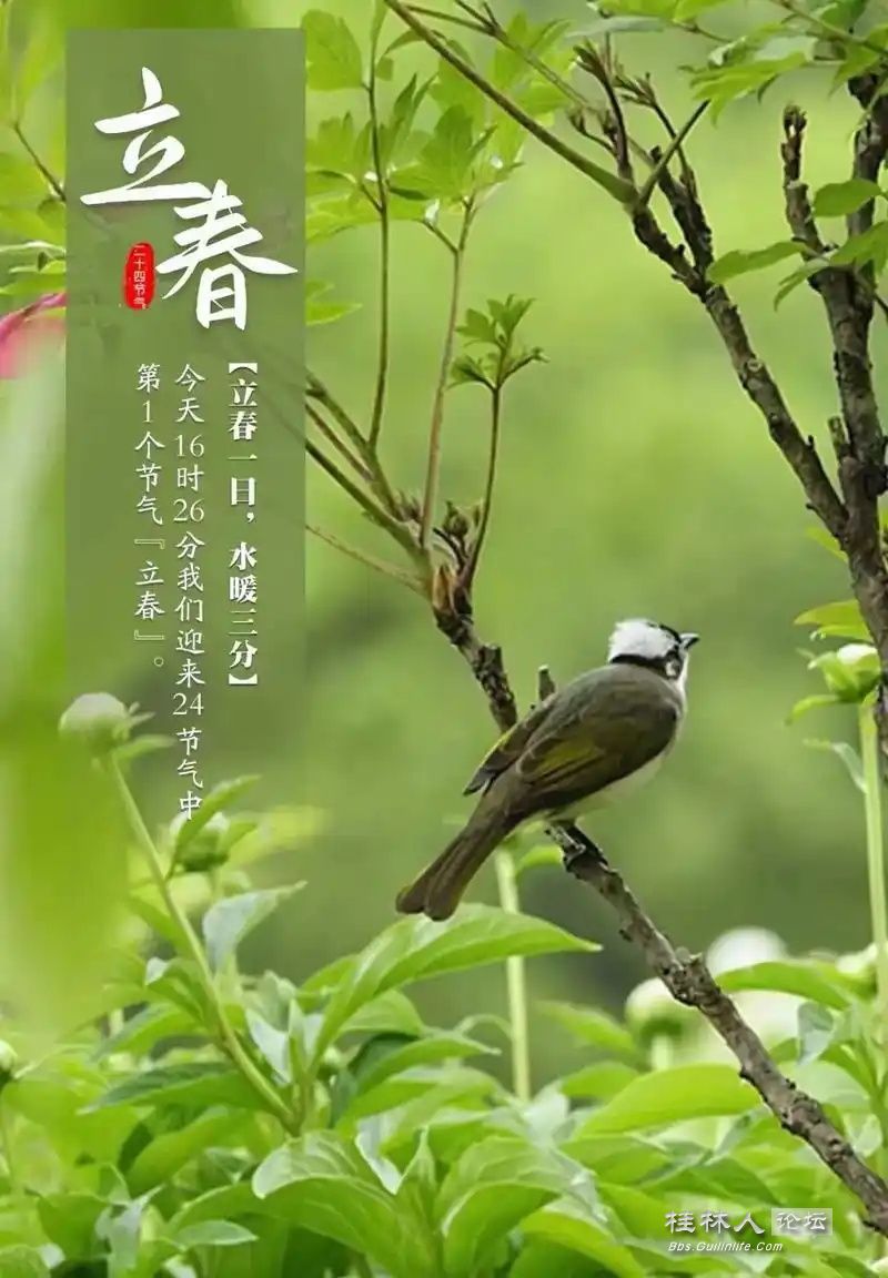u=3475357035,1344546828&fm=253&fmt=auto&app=138&f=JPEG_ͼ.jpg