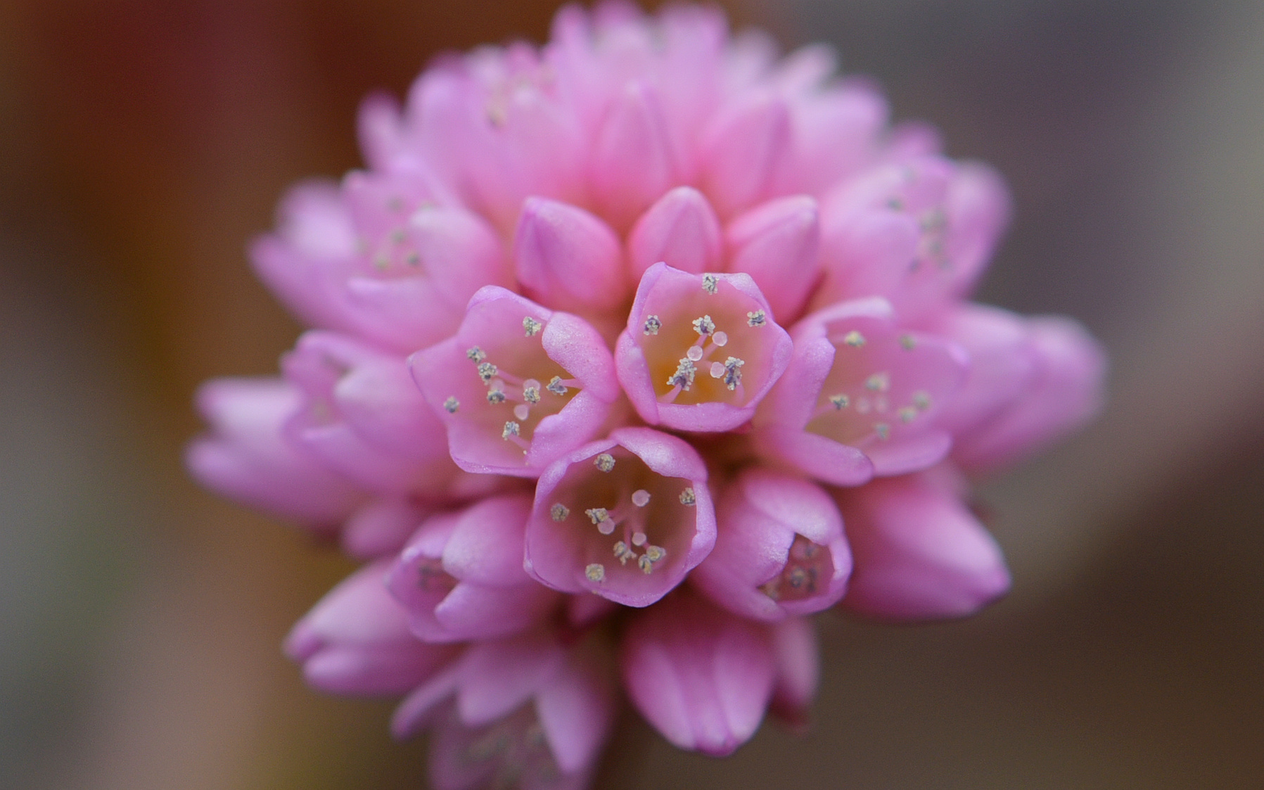 DSC_2849_.jpg
