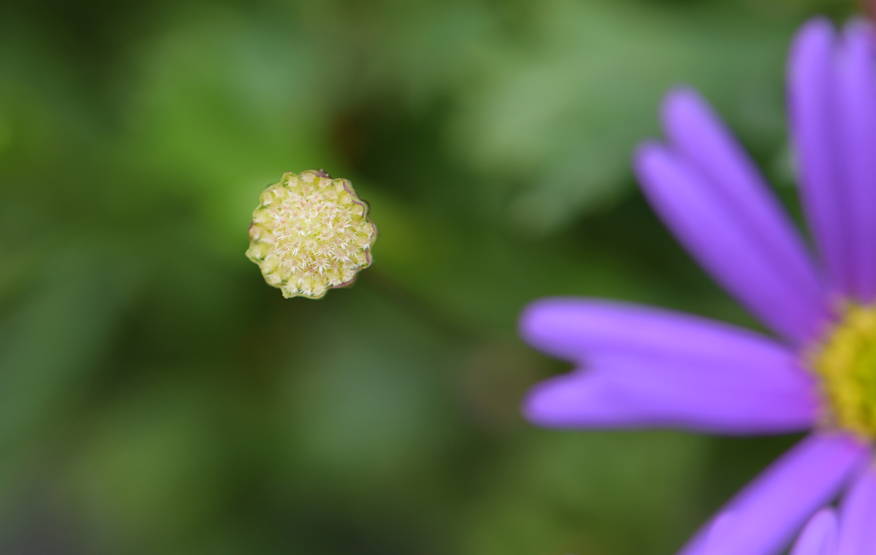 DSC_2867_.jpg