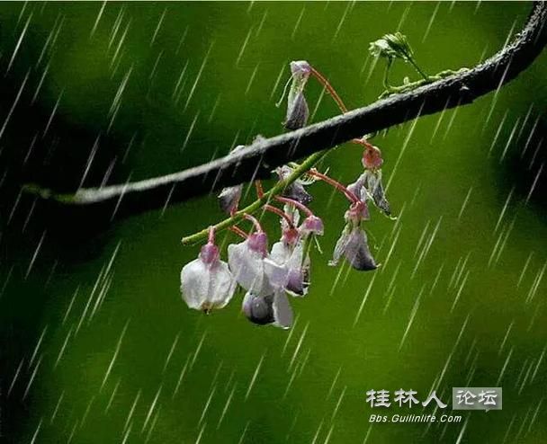u=968047698,3865142294&fm=253&app=138&f=JPEG.jpg