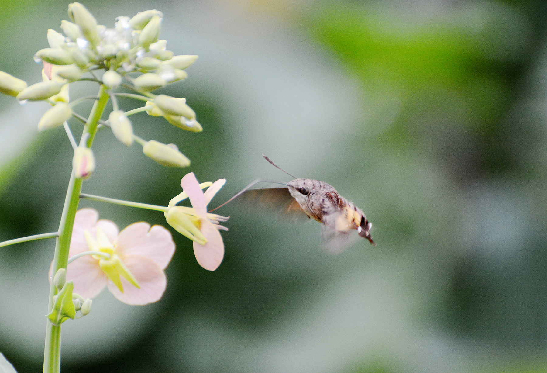 DSC_5074_.jpg