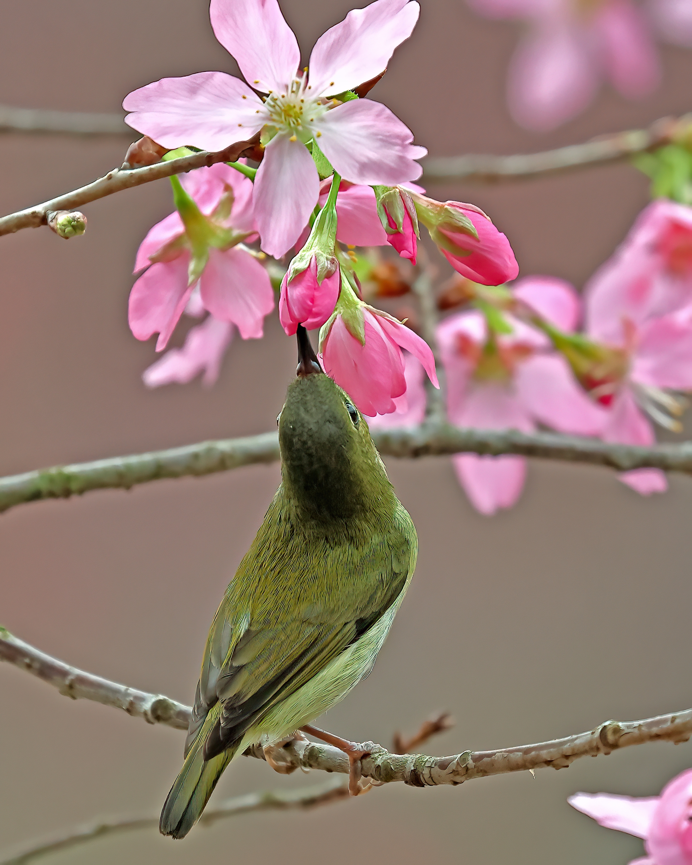 5D2A0505_-DeNoiseAI-clear.jpg