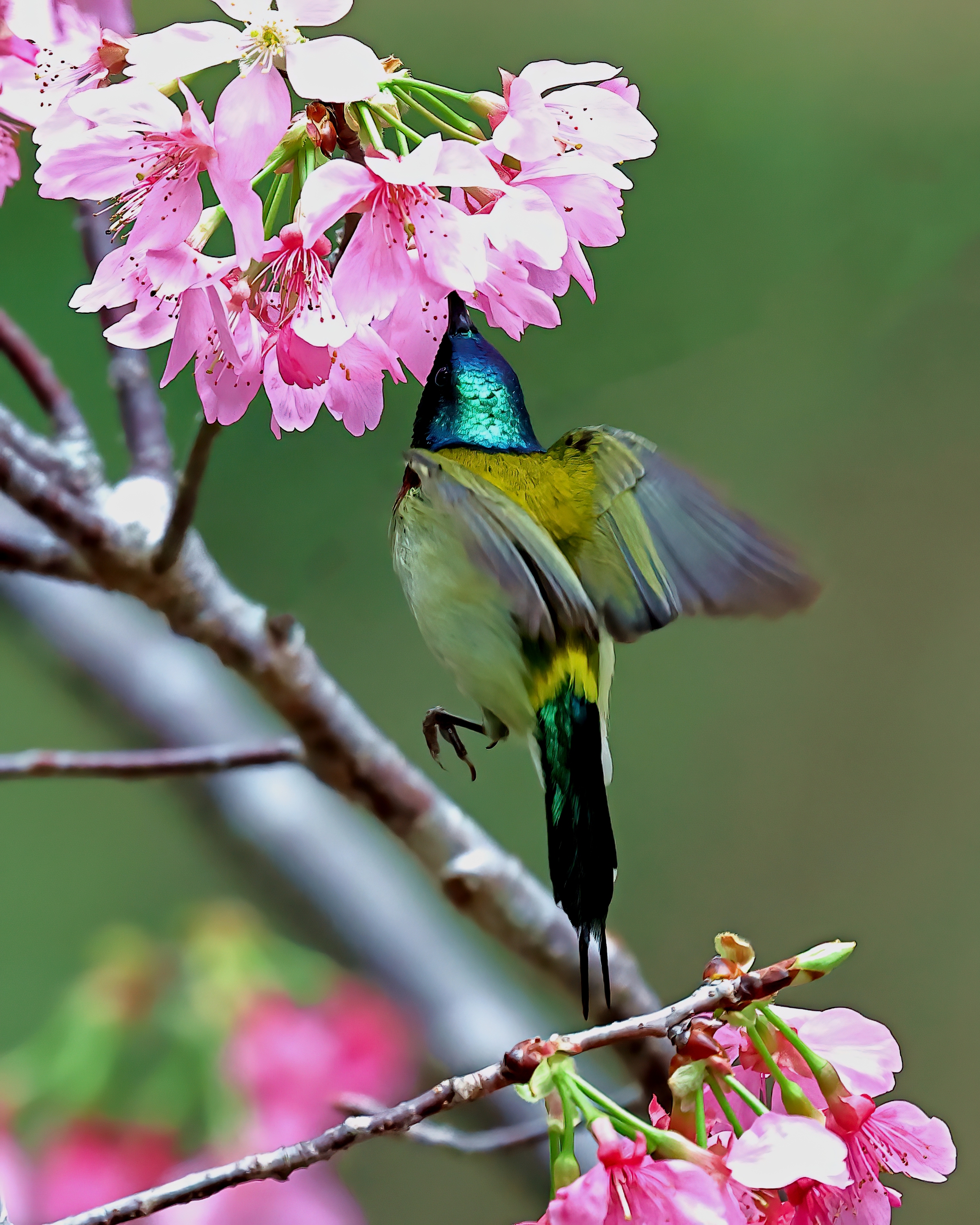 5D2A0618-DeNoiseAI-clear.jpg