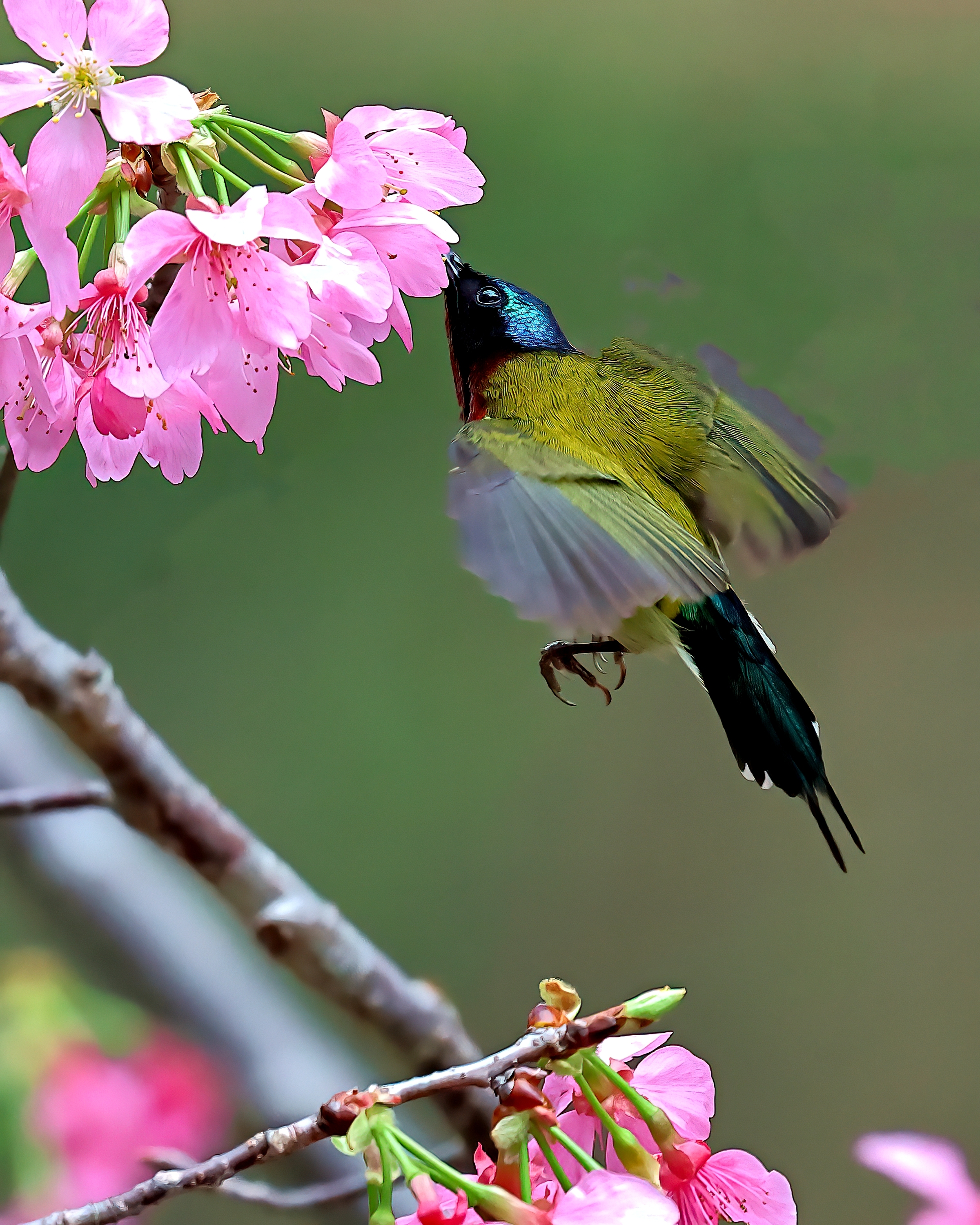 5D2A0622-DeNoiseAI-clear.jpg
