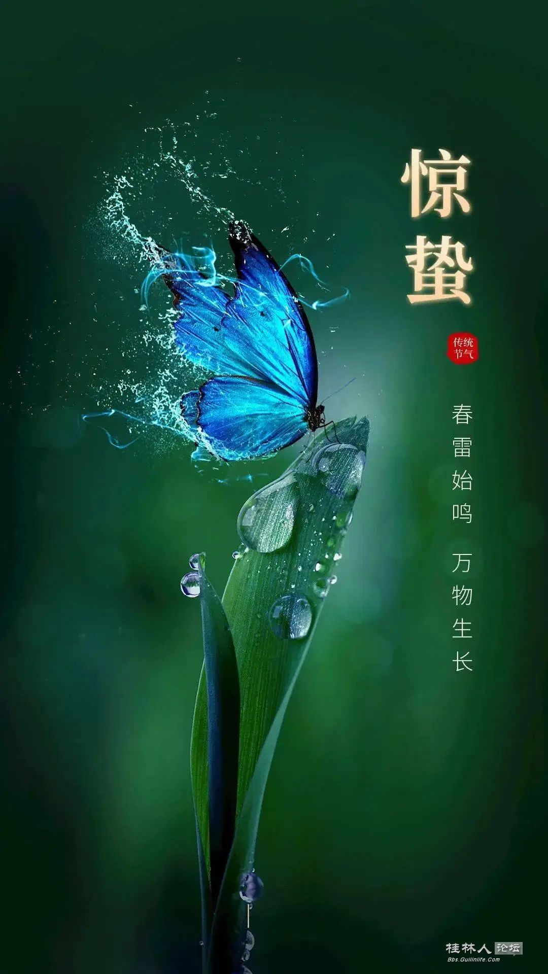 19ae36b9ef5c4f4b8de2c0ebff68c6cb_ͼ.jpg