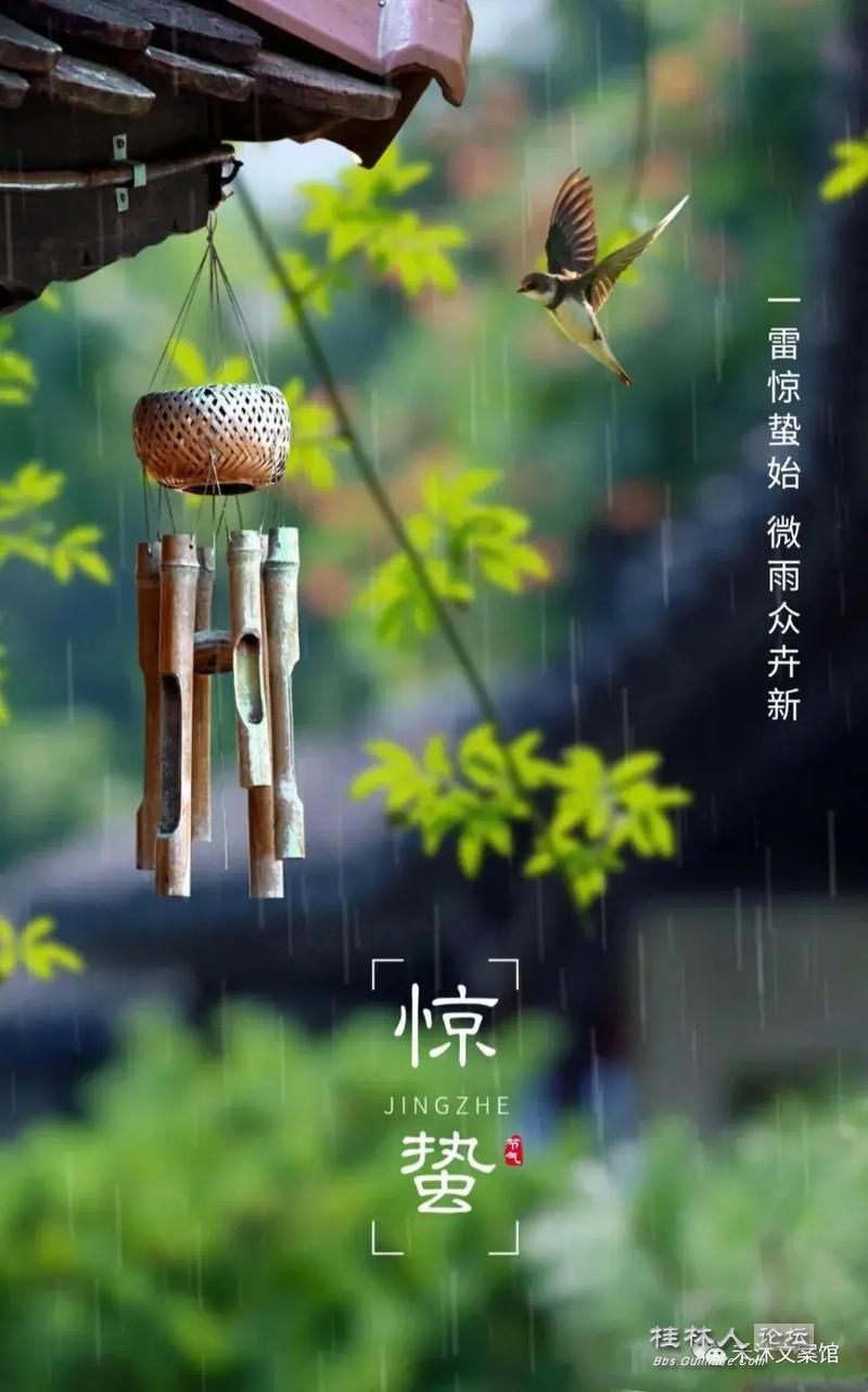 u=250815347,3569808425&fm=253&app=138&f=JPEG.jpg