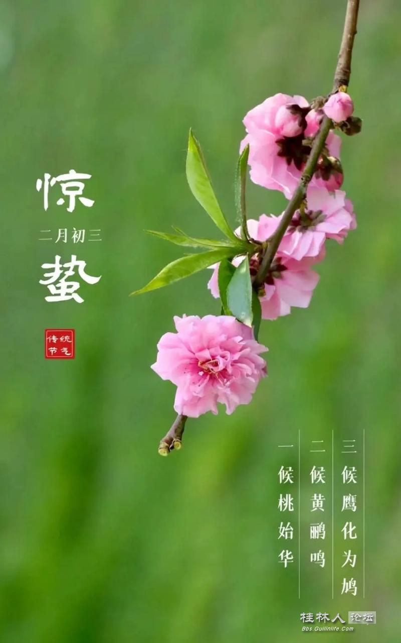 u=839403790,1350081103&fm=253&app=138&f=JPEG.jpg