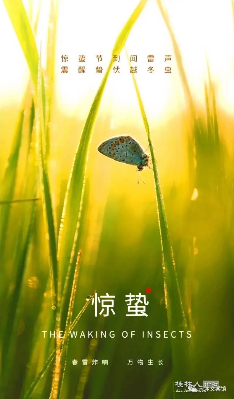 u=1722958676,1162557241&fm=253&app=138&f=JPEG.jpg