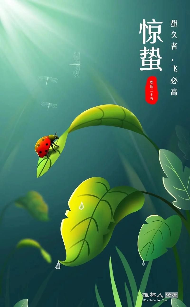 u=3329360925,273016374&fm=253&app=138&f=JPEG.jpg