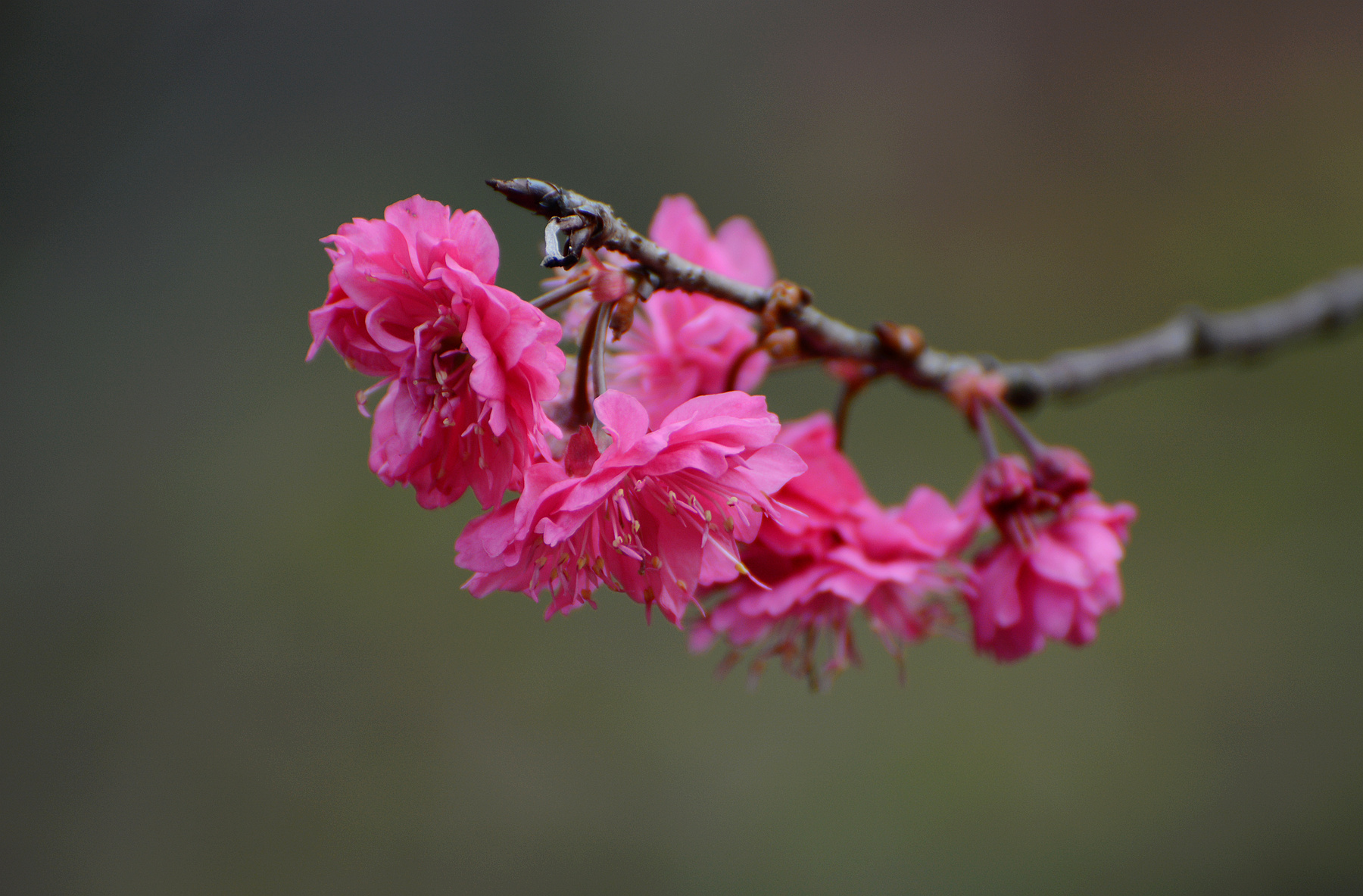 DSC_5177_.jpg