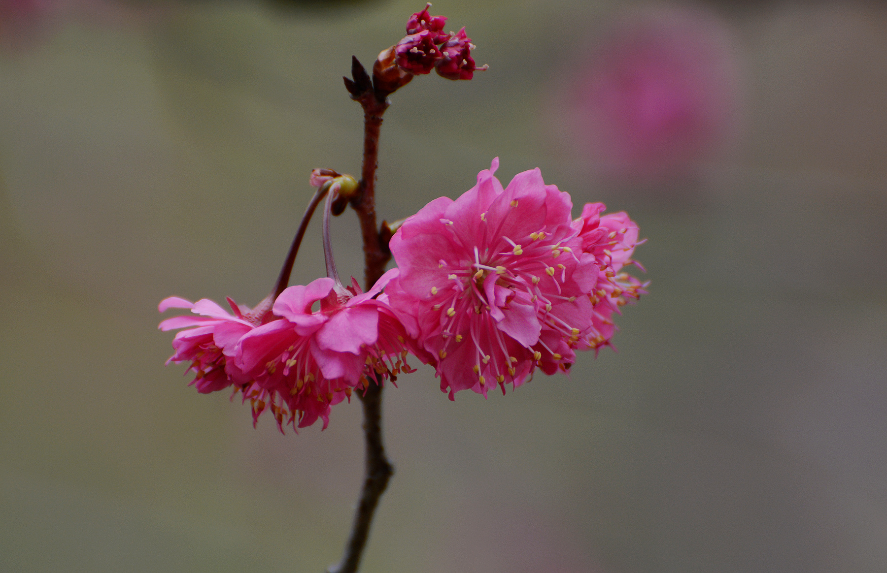 DSC_5180_.jpg