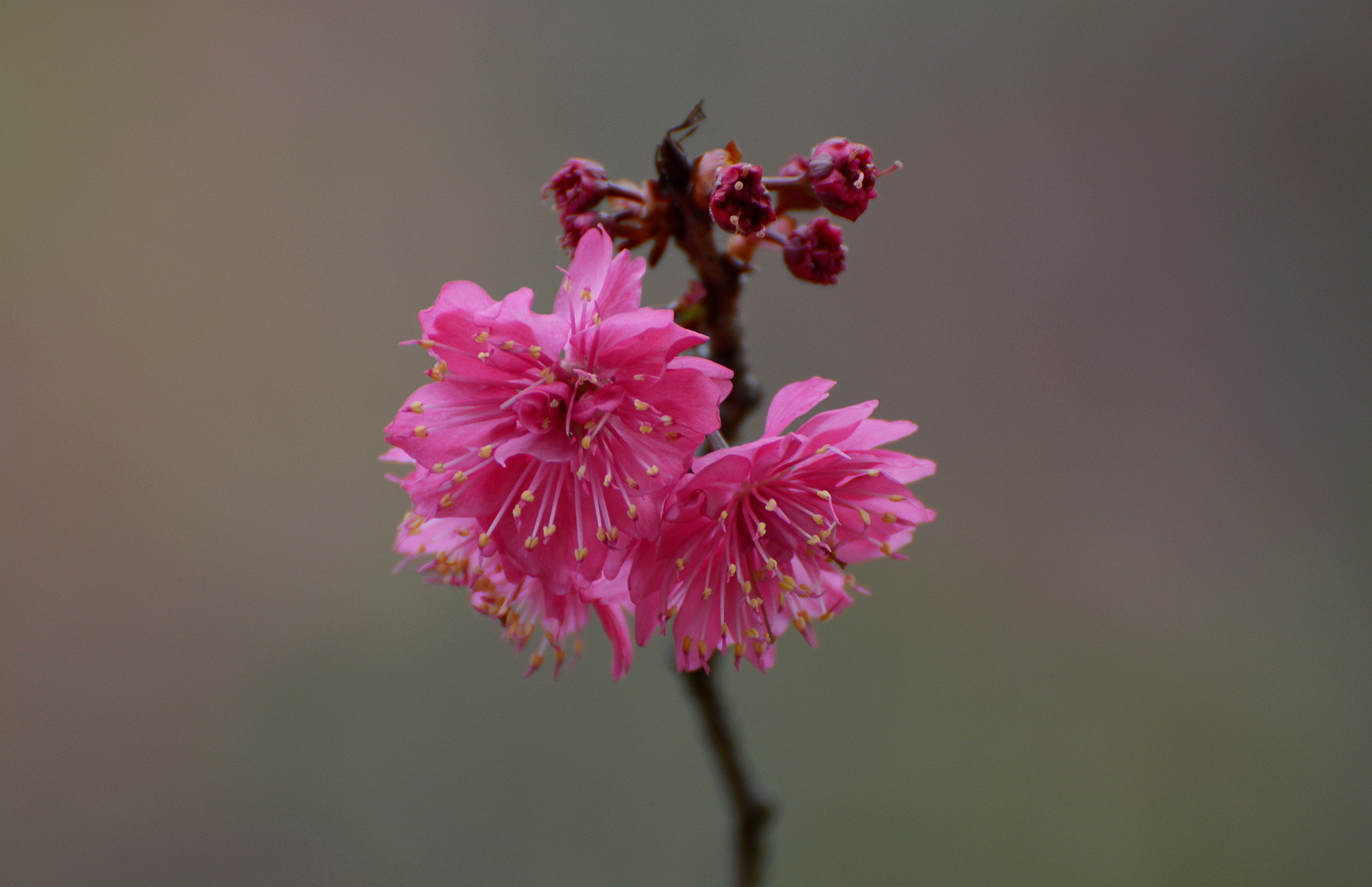 DSC_5179_.jpg