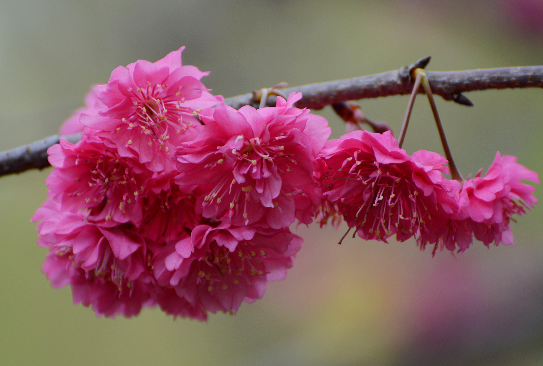 DSC_5182_.jpg