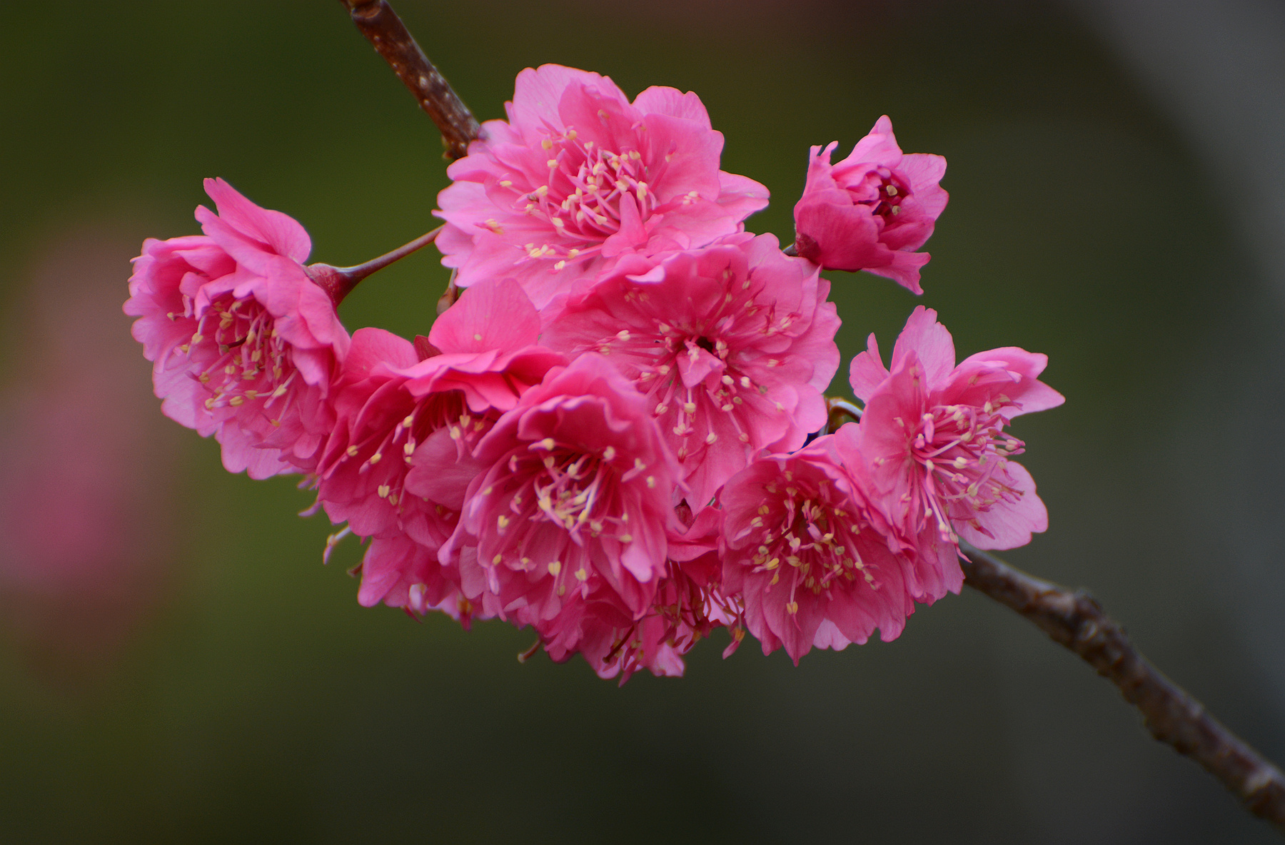 DSC_5187_.jpg