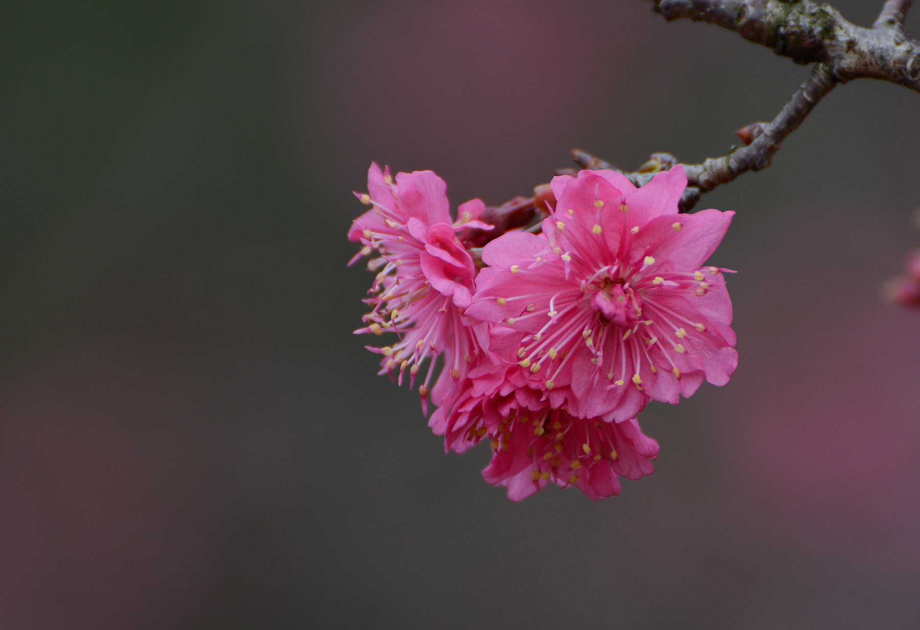 DSC_5193_.jpg