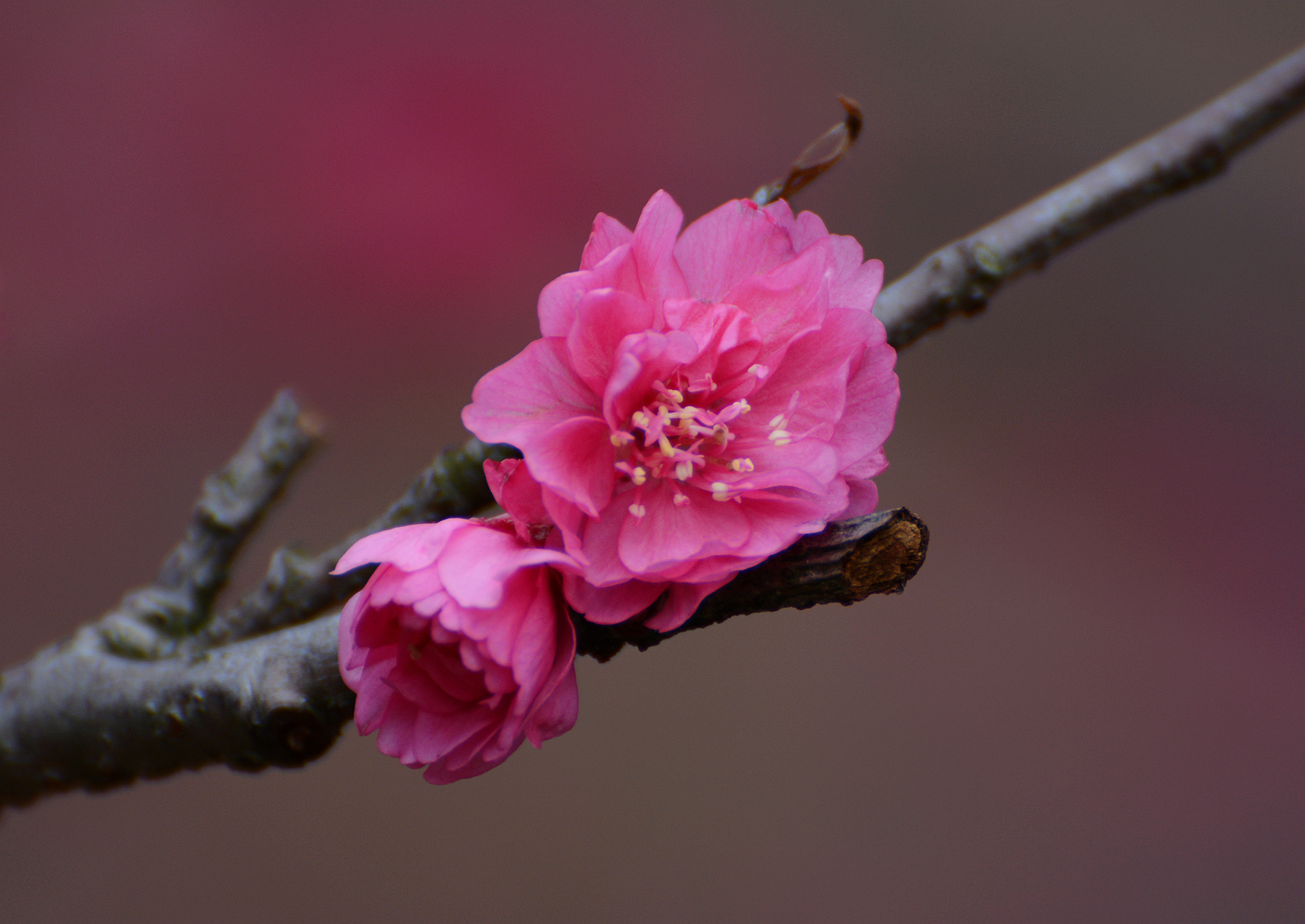 DSC_5189_.jpg