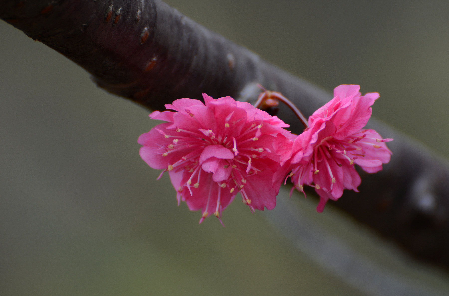 DSC_5190_.jpg