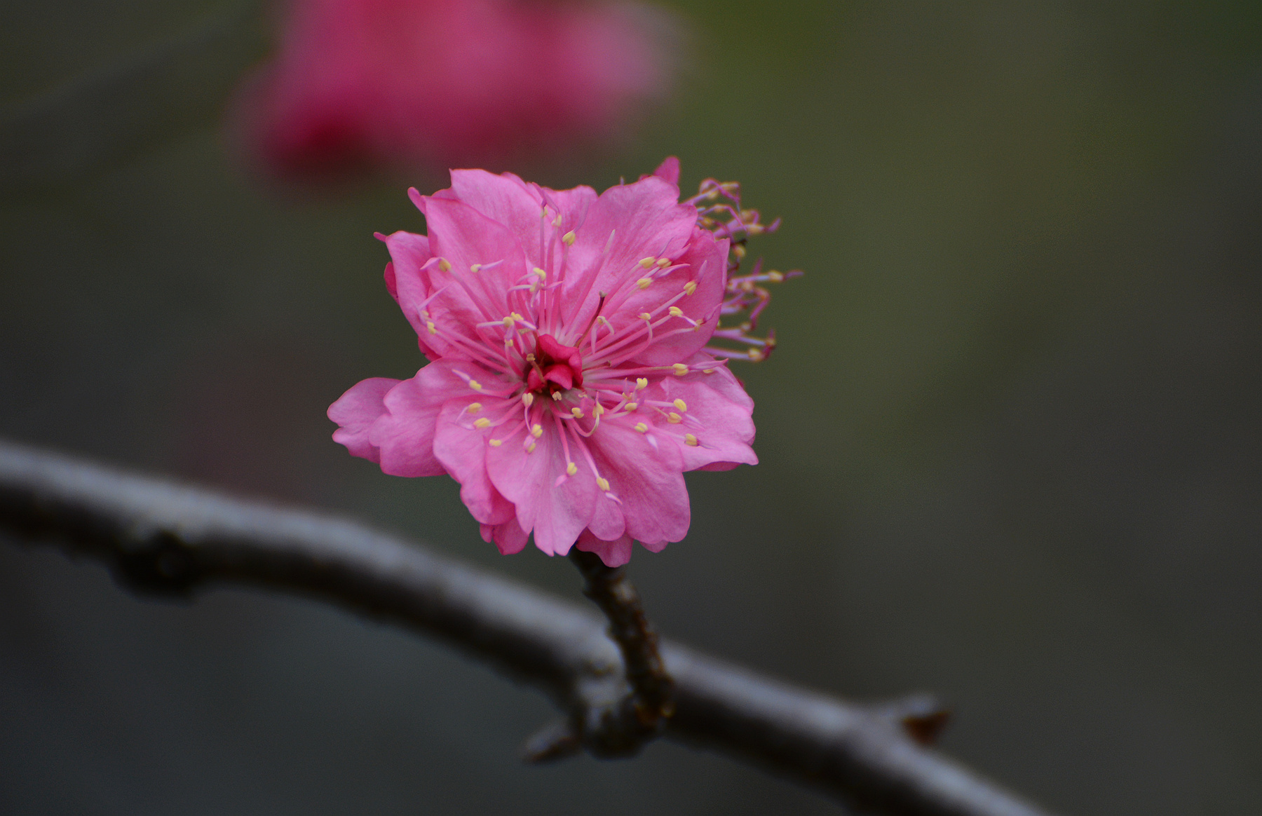 DSC_5195_.jpg