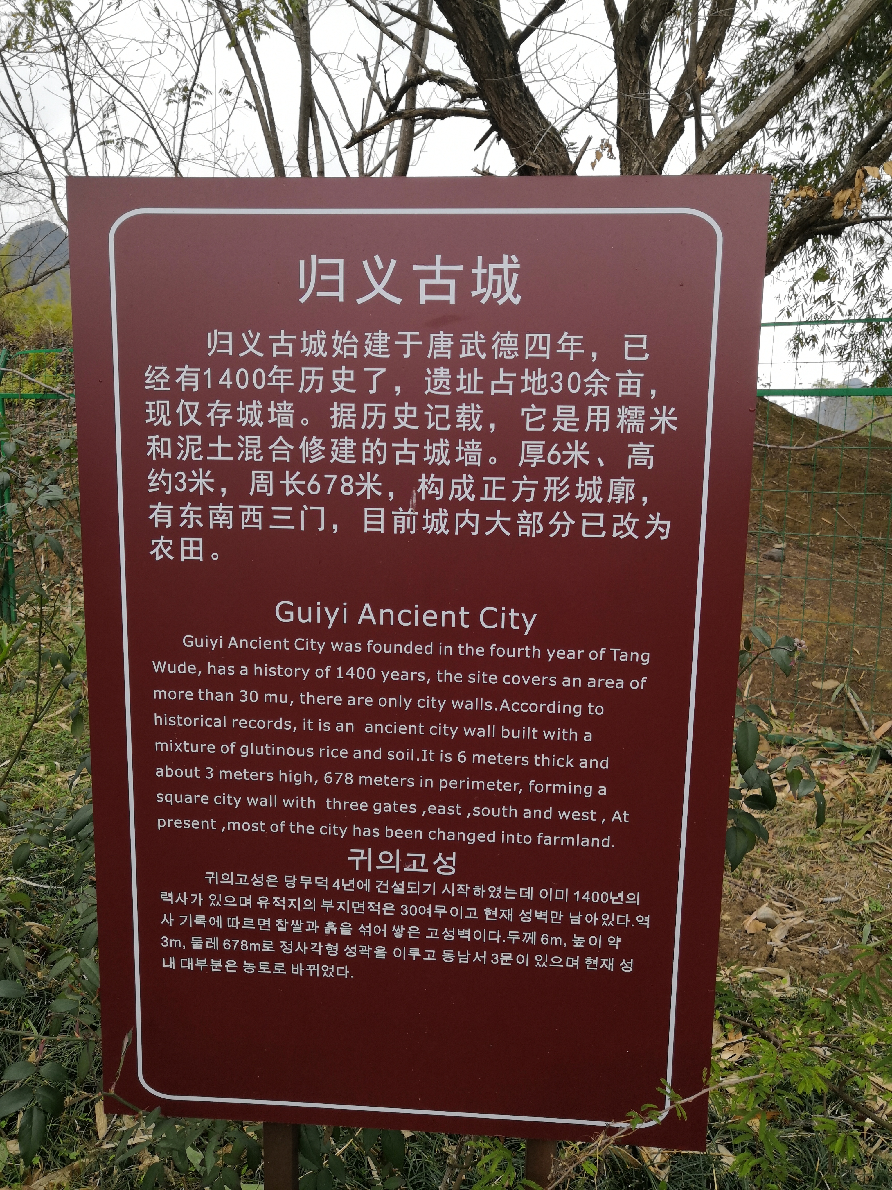 IMG_20250307_134756.jpg