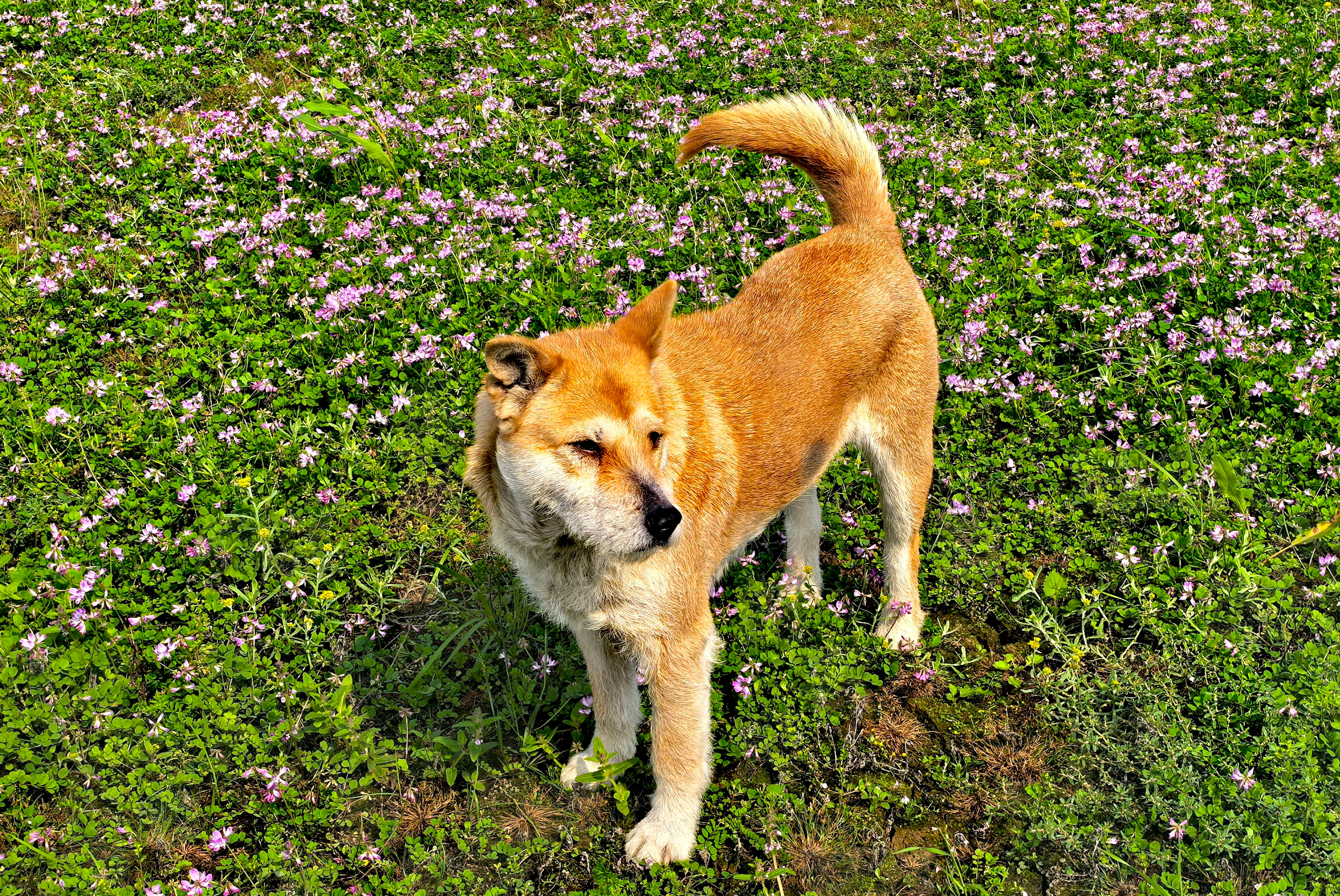 IMG_20250316_104658_edit_48792692507658.jpg