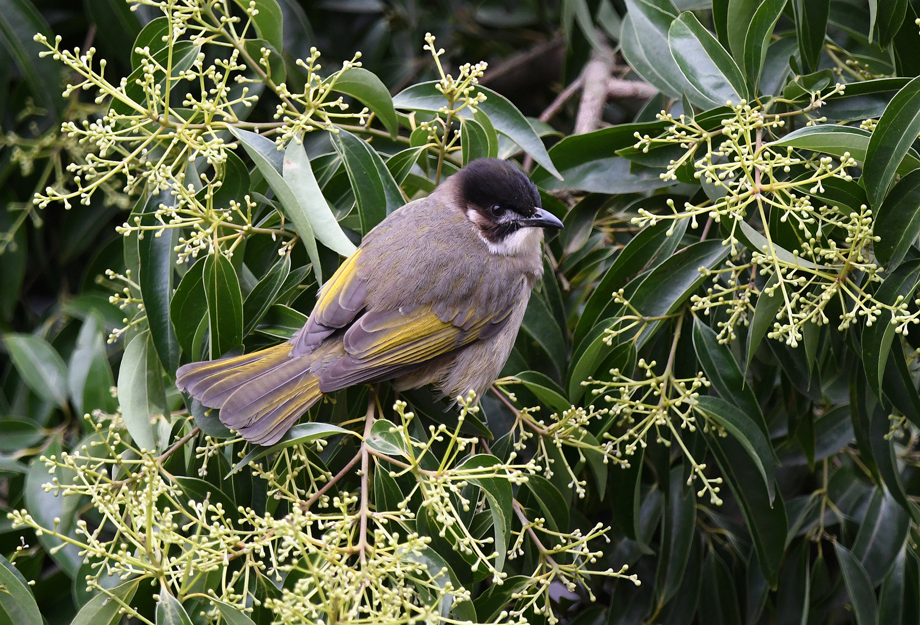DSC_1824_.jpg