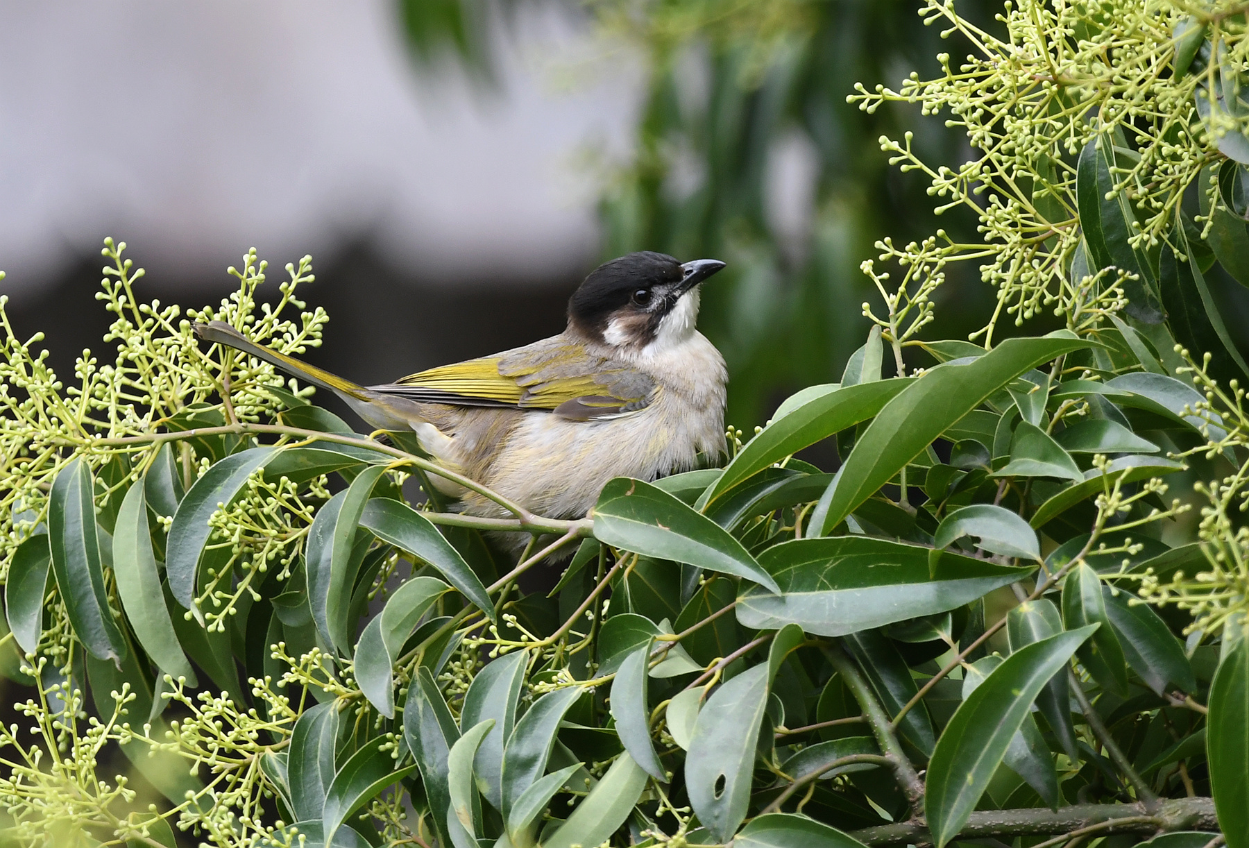 DSC_1846_.jpg
