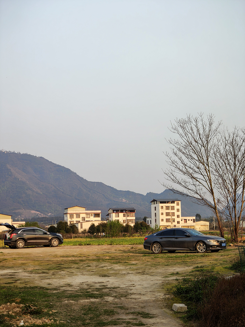 IMG20250321180006.jpg