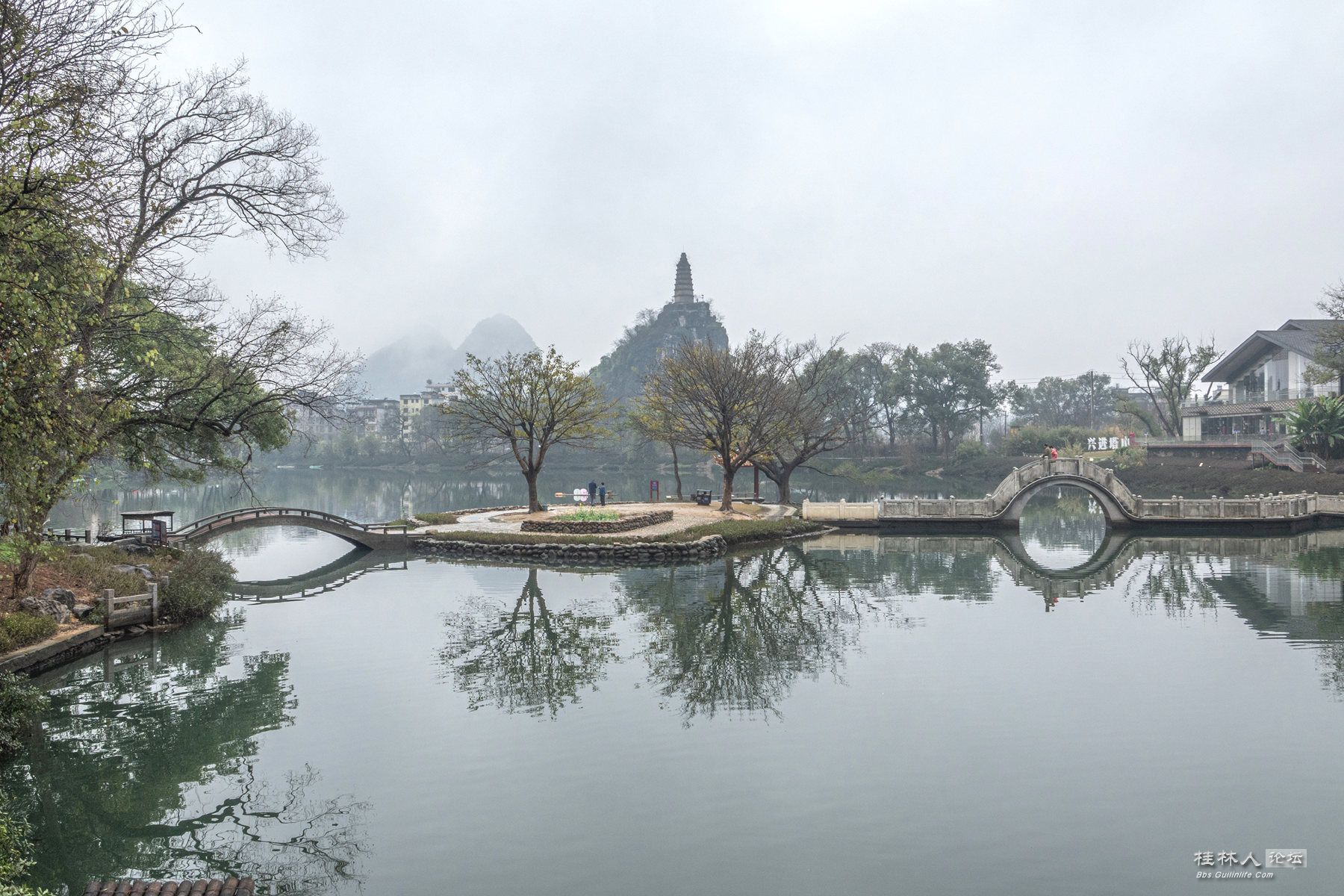 DSC05478-0.jpg