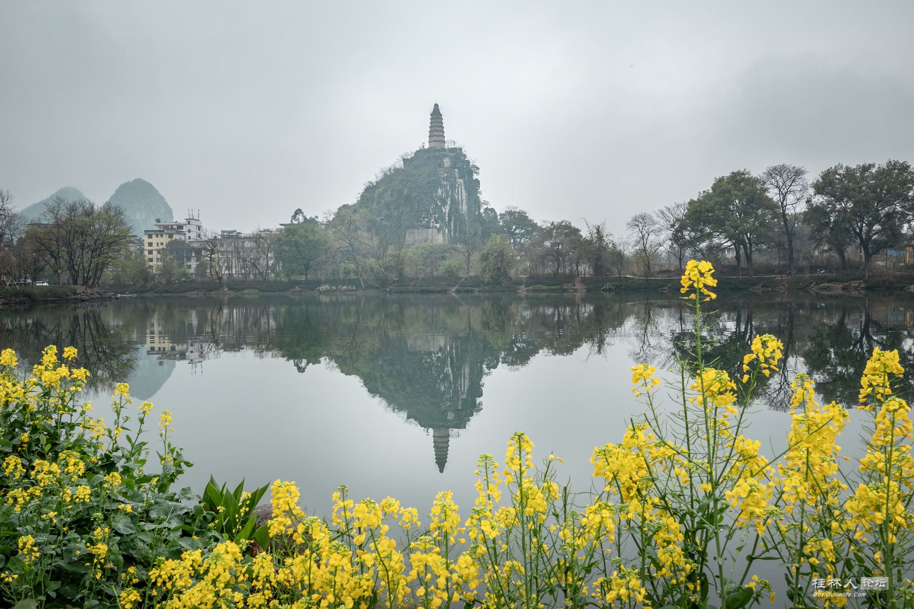 DSC05510-0.jpg