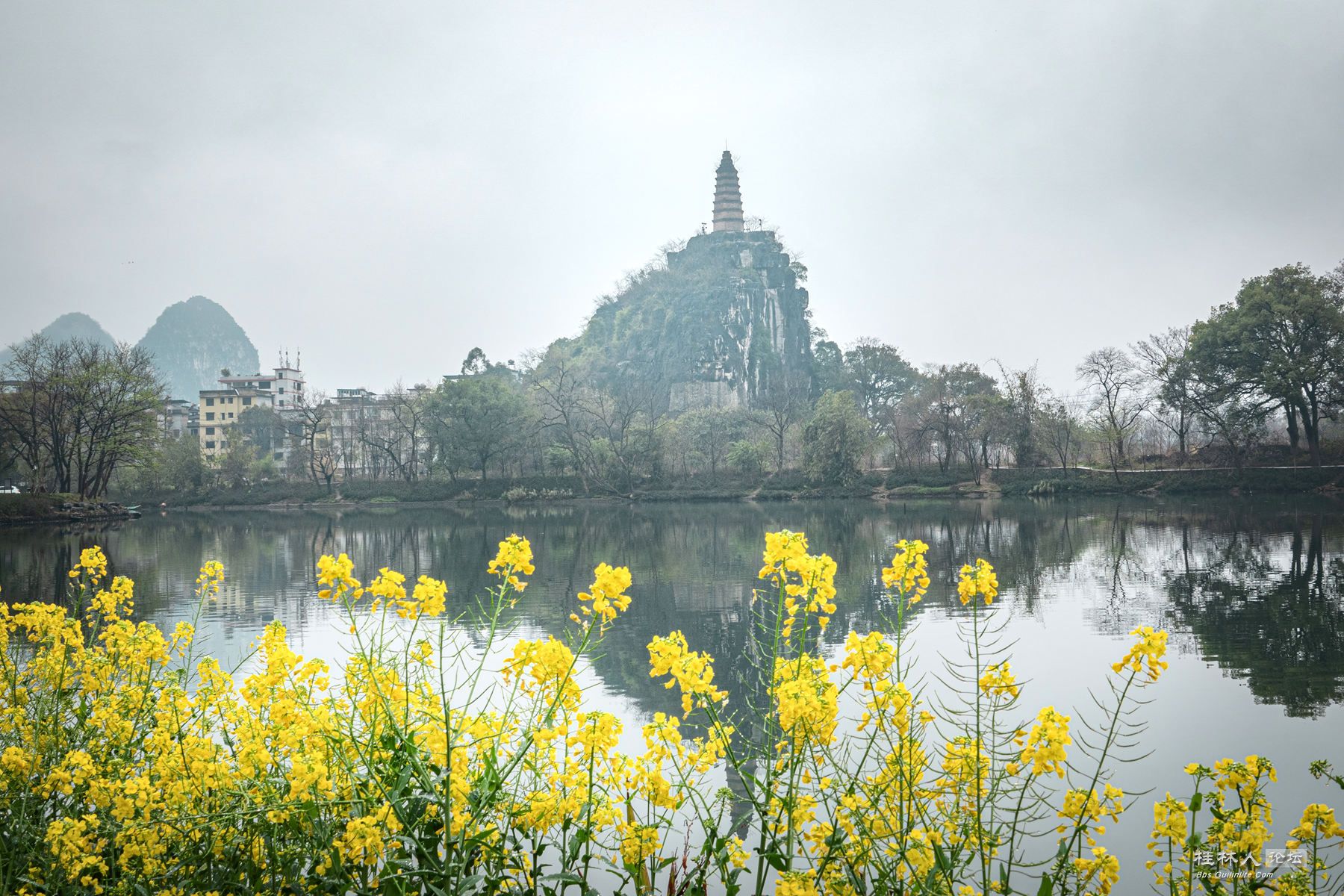 DSC05514-0.jpg