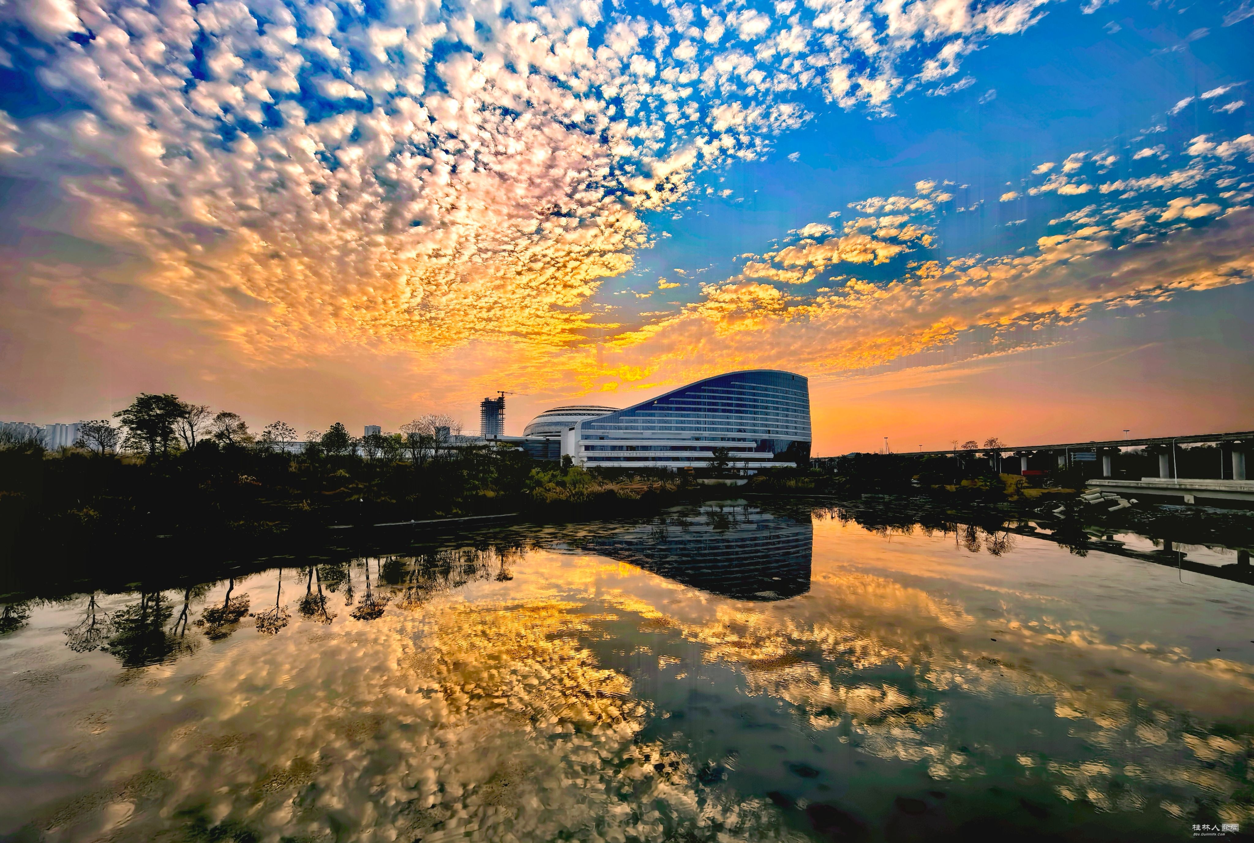 IMG_20250324_181741_edit_357549283977733.jpg
