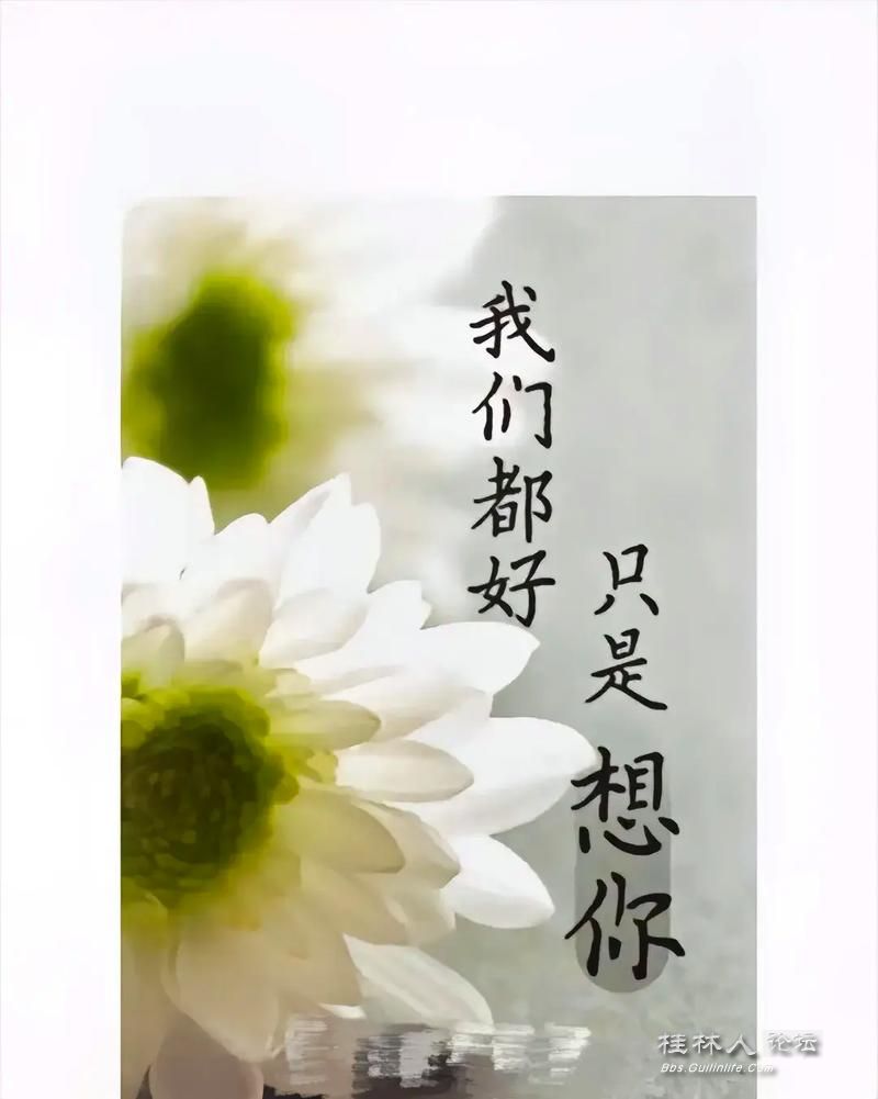 u=792511136,1102936379&fm=253&app=138&f=JPEG.jpg