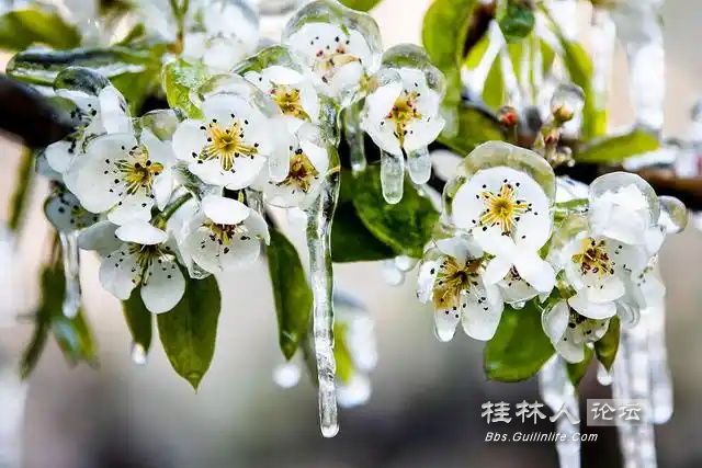9f510fb30f2442a7ac47caad460e7740d01302c1_ͼ.jpg