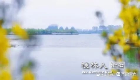 5ab5c9ea15ce36d3dd7da2cf3d540c8de850b100.webp.jpg