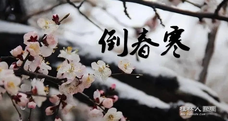 u=559736458,4227669287&fm=253&fmt=auto&app=120&f=JPEG.webp.jpg