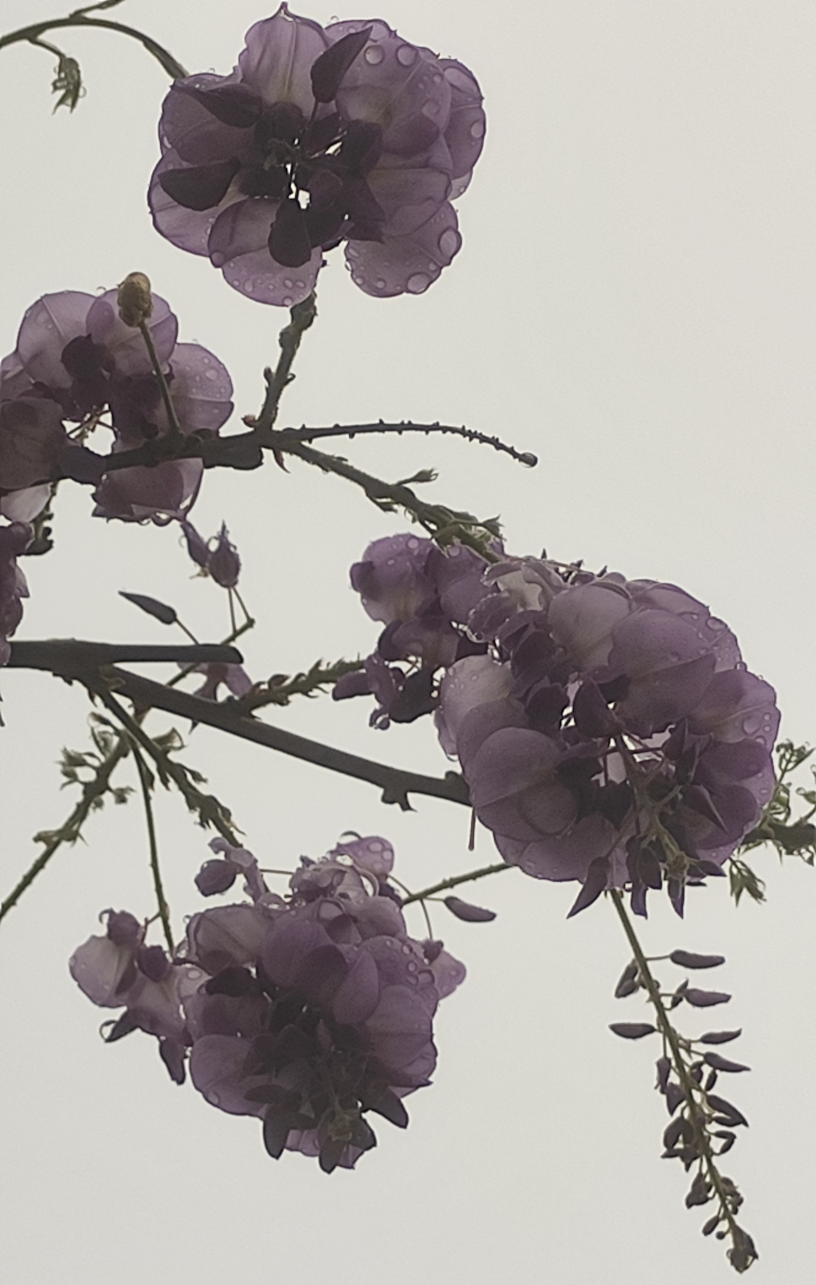 ΢ͼƬ_20250409222128.jpg