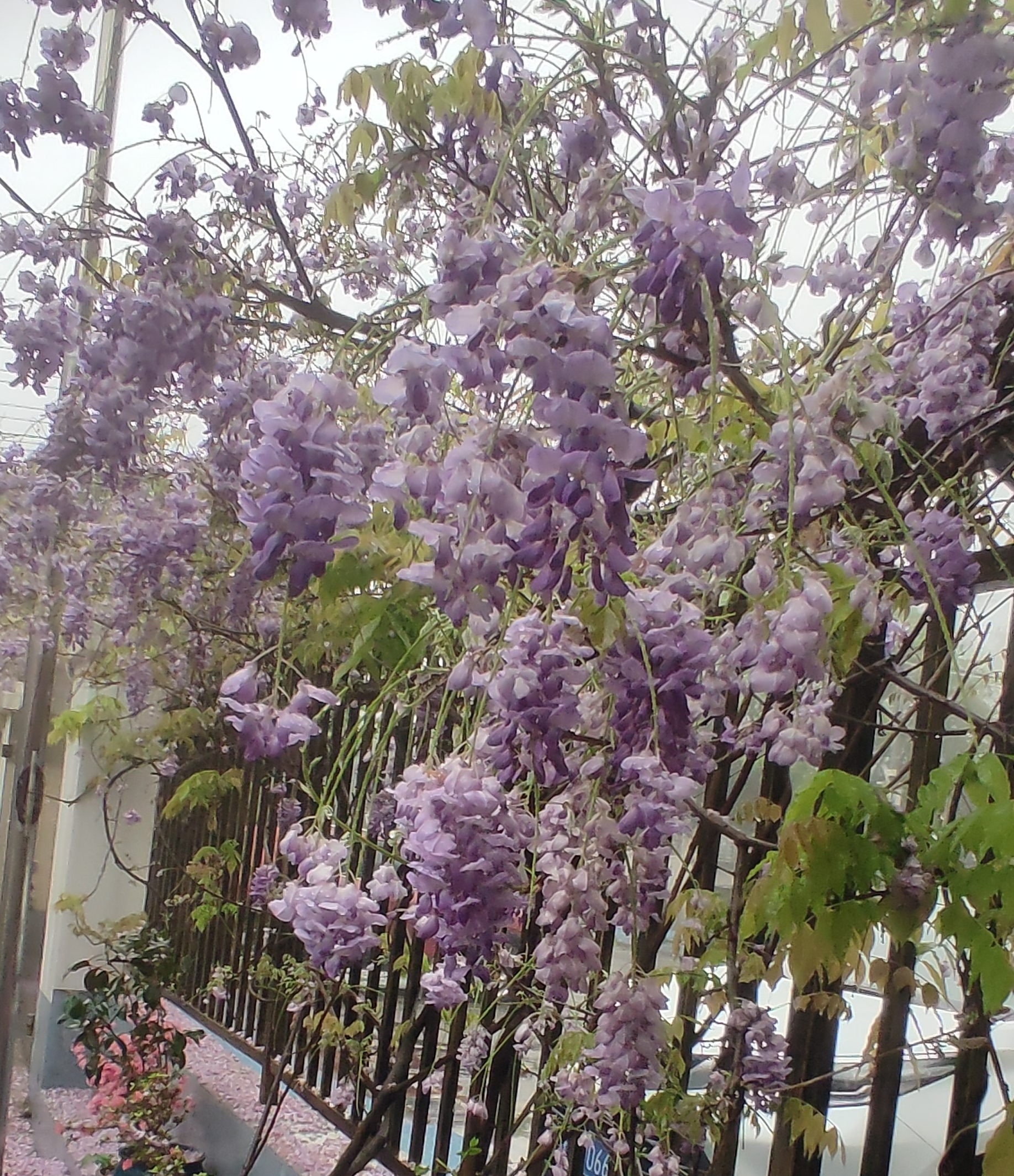 ΢ͼƬ_20250409222142.jpg