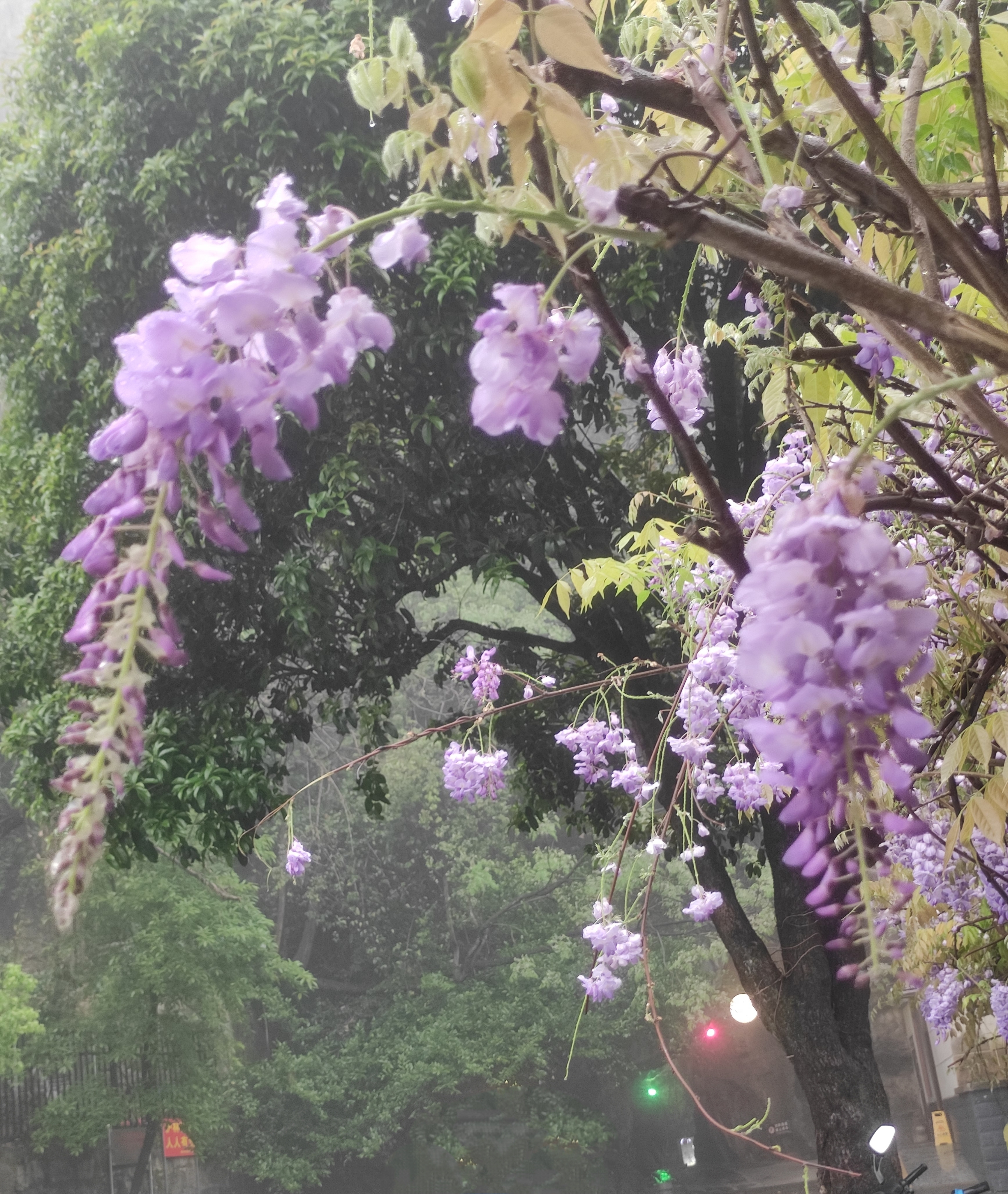 ΢ͼƬ_20250409222220.jpg