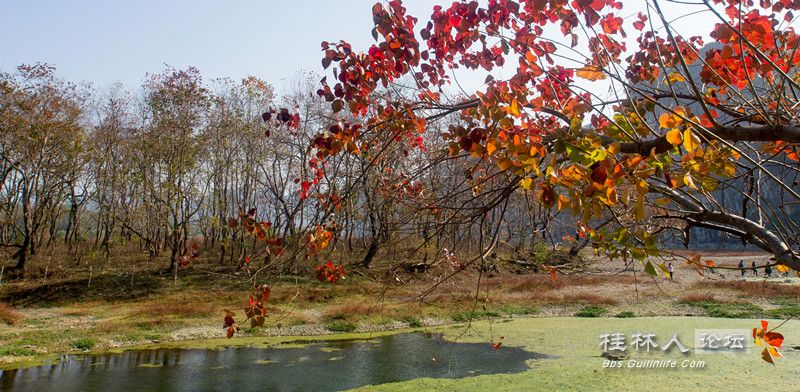 DSC08538_.jpg