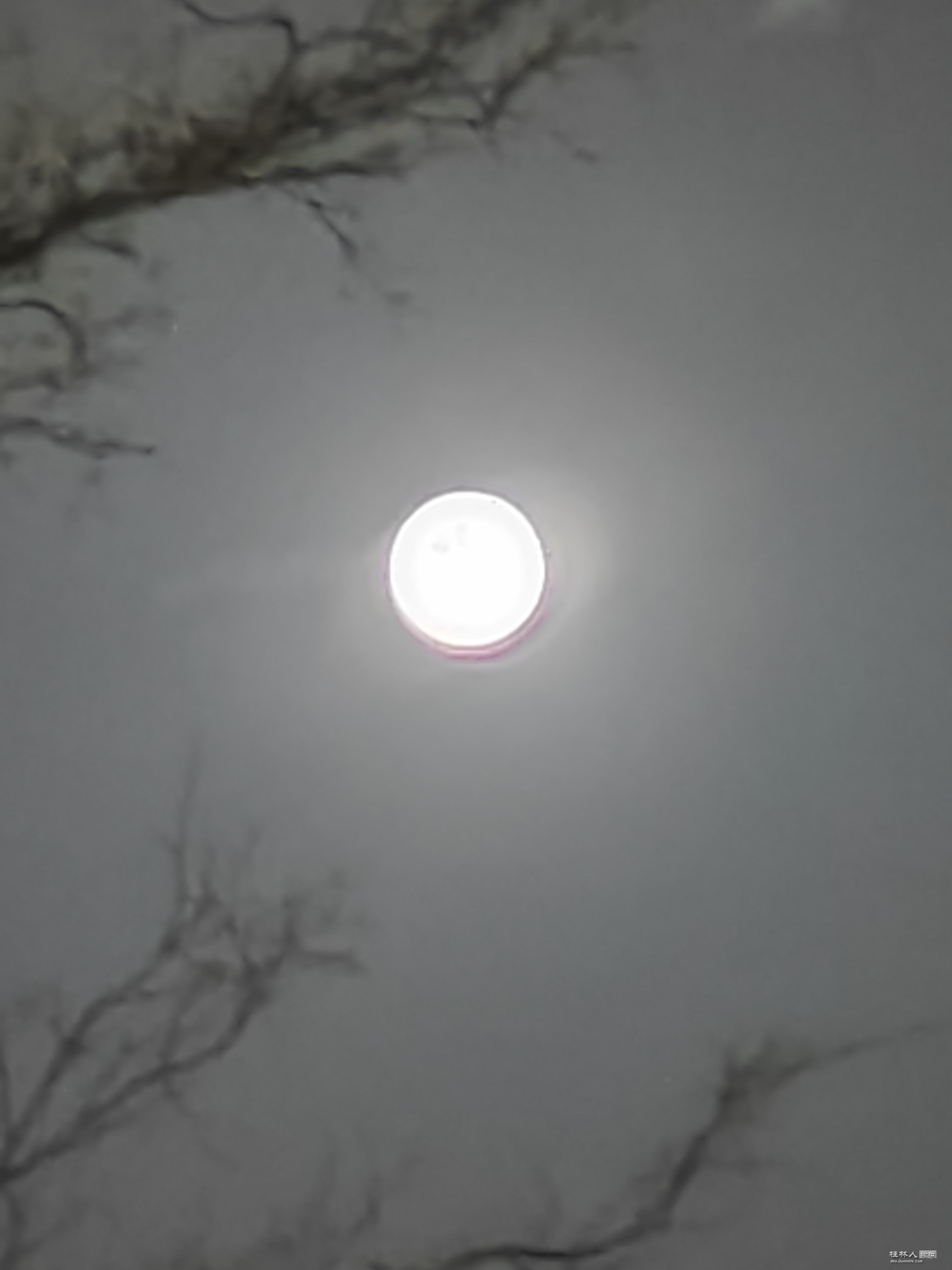 ΢ͼƬ_20250412212914.jpg