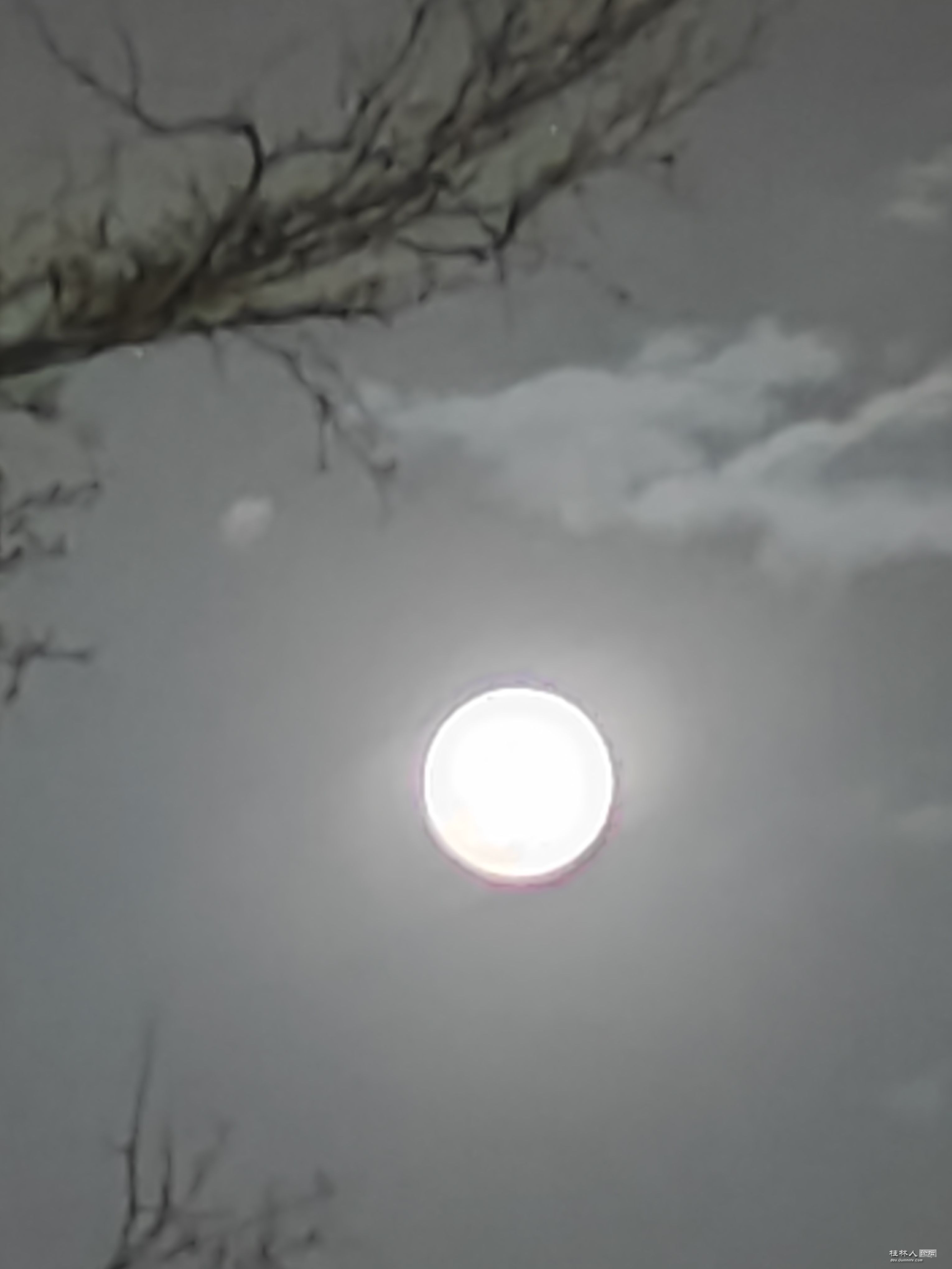 ΢ͼƬ_20250412212933.jpg