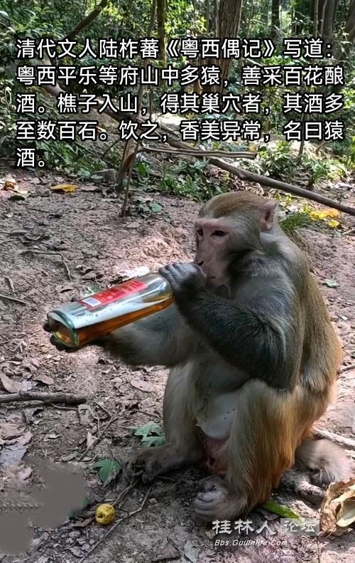 20250428155830front2_0_2066371_Fptu1V6qPh7u4Ki2WjnhgQxoWq1A.jpg