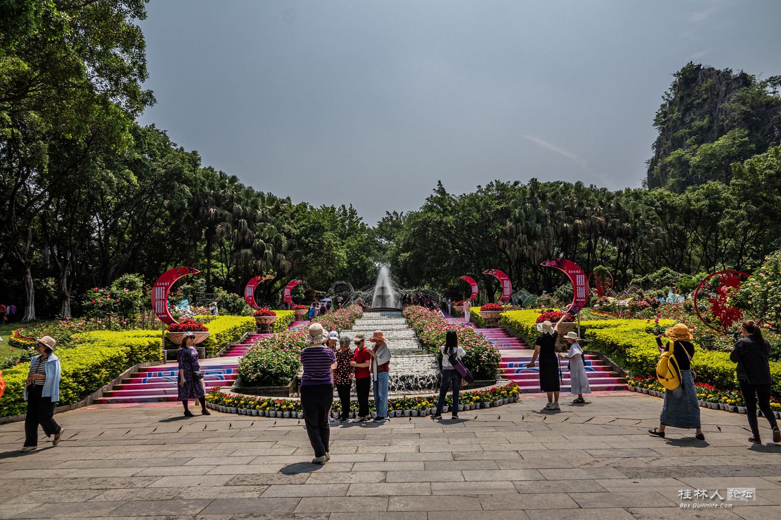 DSC07316-0.jpg