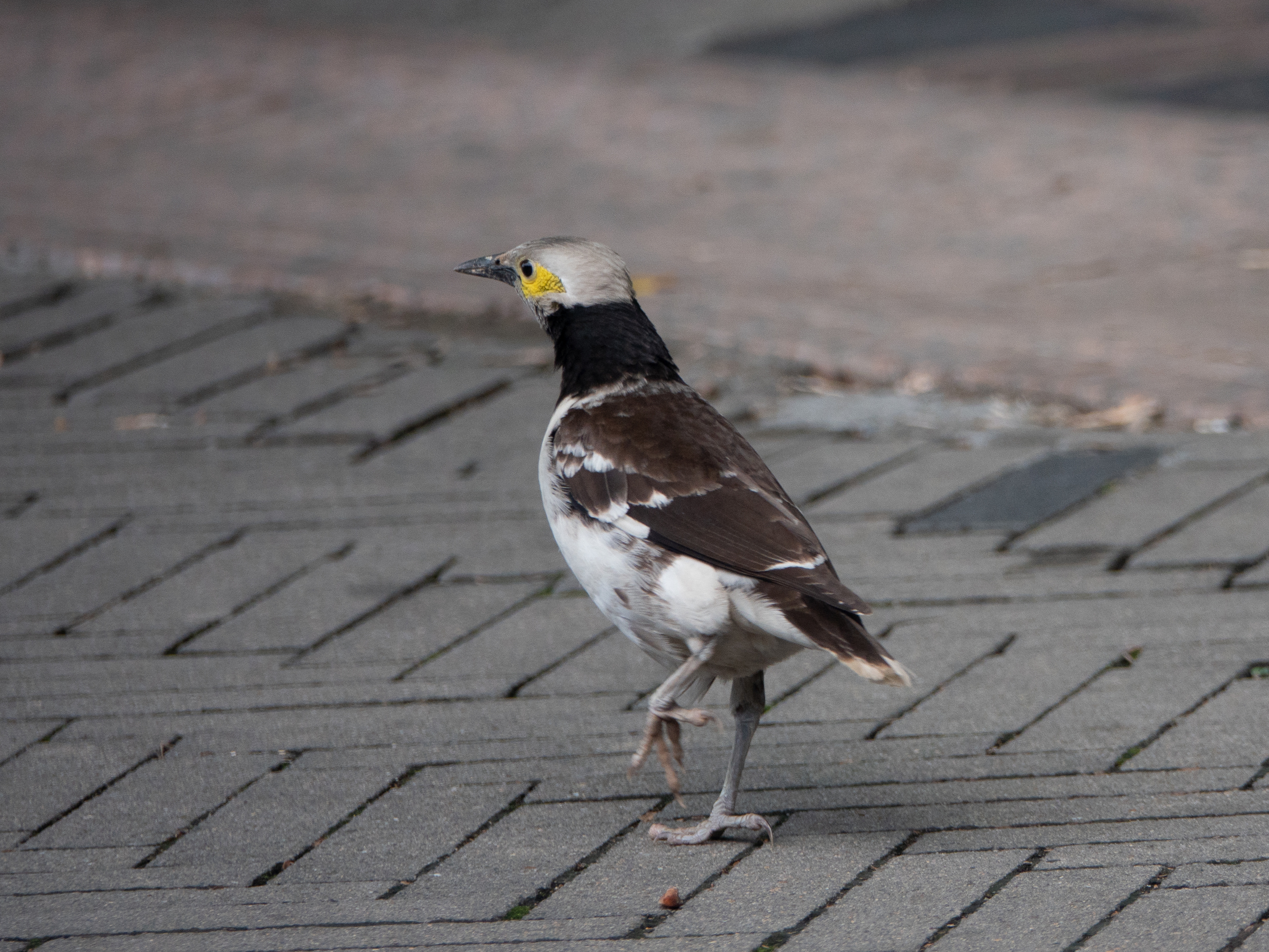 DSC01440_.jpg