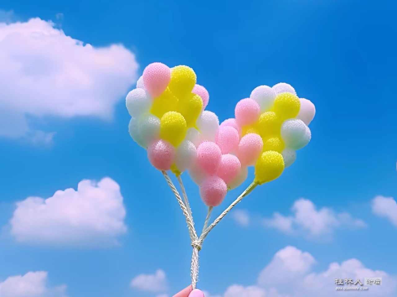 d2b8332bf03d03d776273ade96057c697857.jpeg