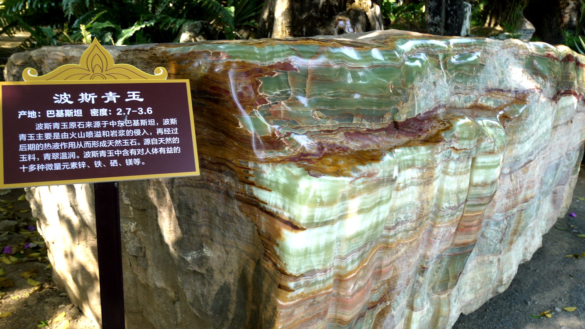 P1170995_.jpg